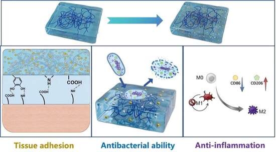 Gels | Special Issue : Advances in Functional and Intelligent Hydrogels