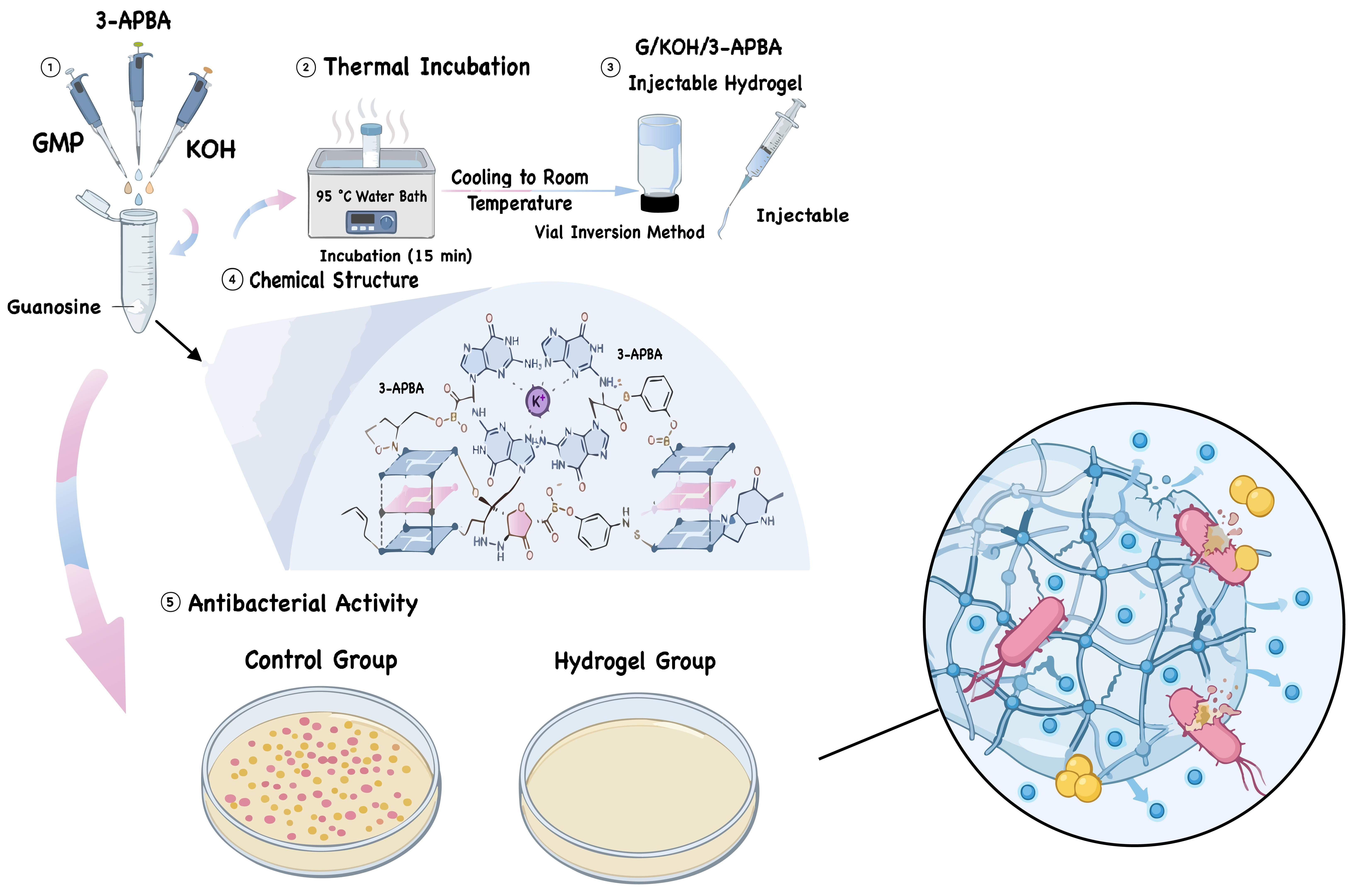 An Injectable, Self-Healing Hydrogel Based on G-Quadruplexes ...