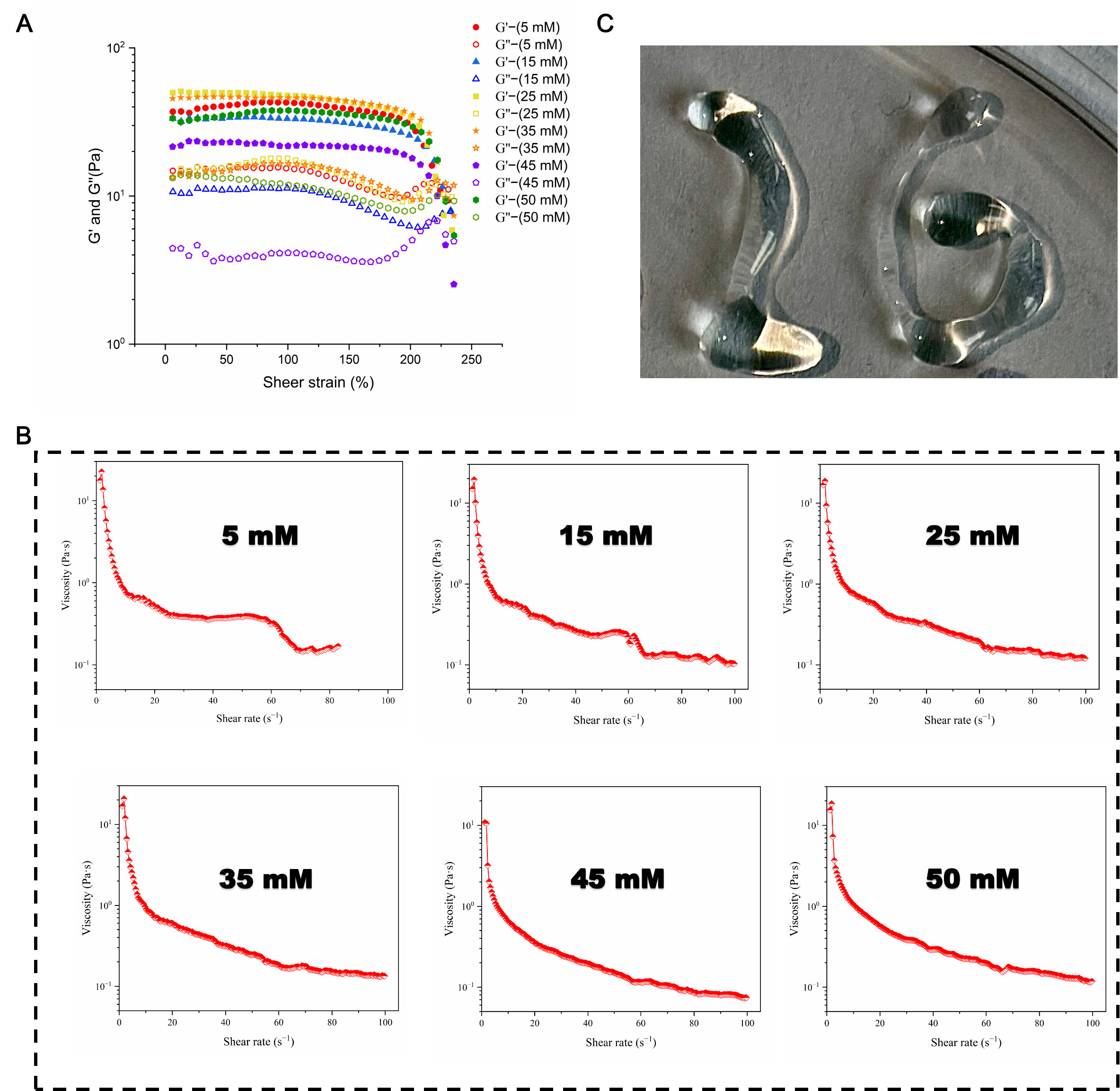 An Injectable, Self-Healing Hydrogel Based on G-Quadruplexes ...
