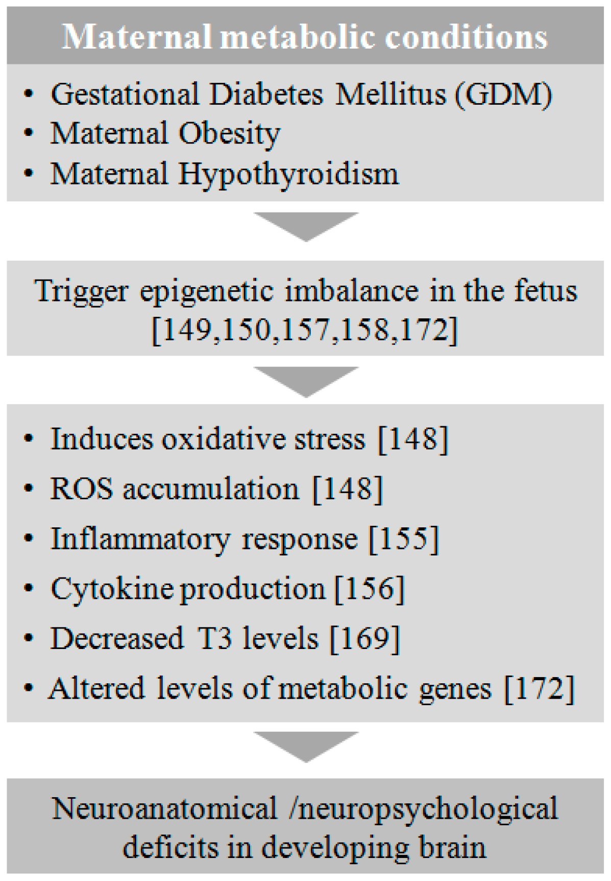 Genes | Free Full-Text | Maternal Factors that Induce Epigenetic ...