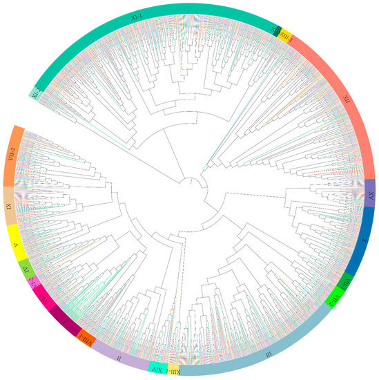 Genome-Wide Analysis of LRR-RLK Gene Family in Four Gossypium Species ...