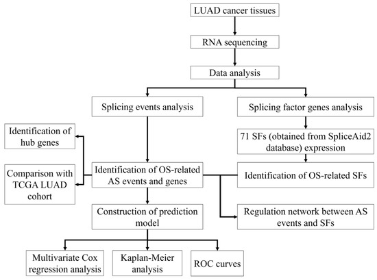 Genes | Free Full-Text | Genome-Wide Analysis of Prognostic Alternative ...