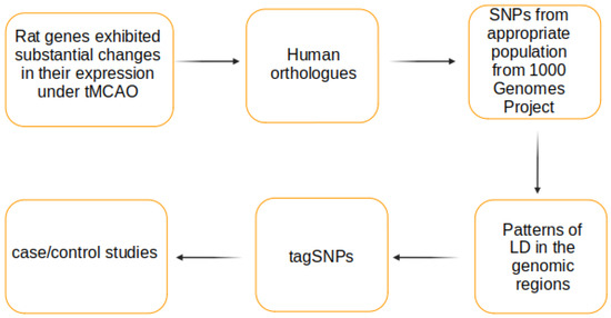 A Workflow for Selection of Single Nucleotide Polymorphic Markers for ...