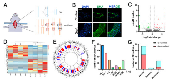 genes-12-00418-g001-550.jpg?