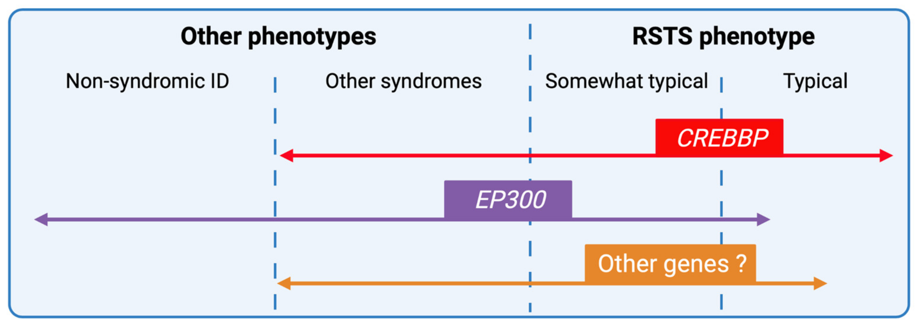 Anaesthesia Management in a Child with Rubinstein - Taybi Syndrome