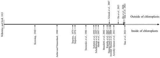 Genes | Free Full-Text | Chlorophyllase, a Common Plant Hydrolase ...