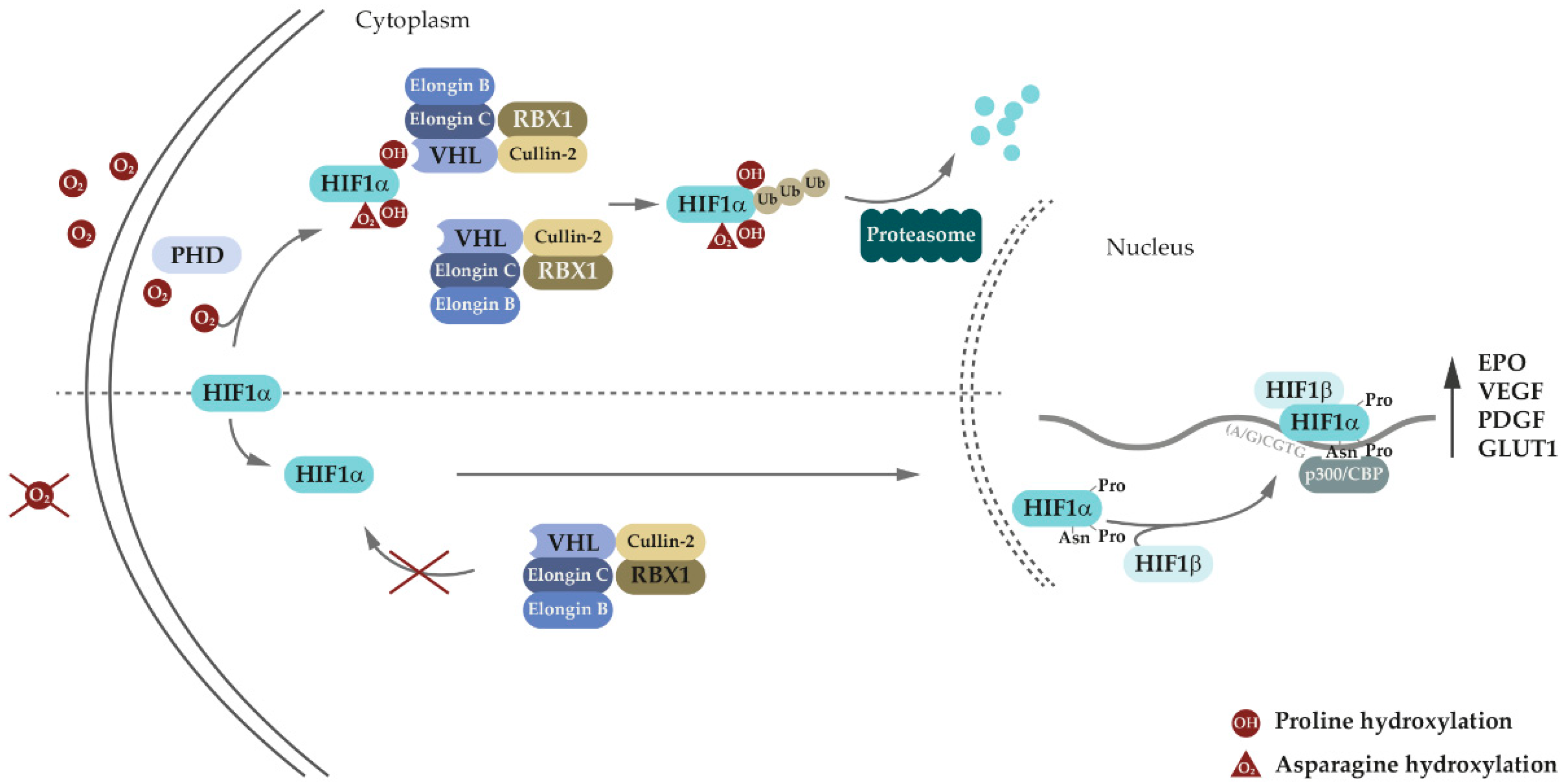 how to redo a vhl assignment