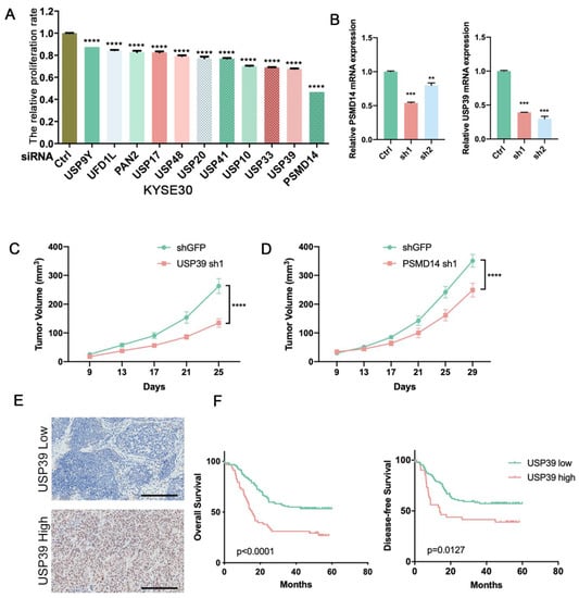 Genes | Free Full-Text | The Deubiquitinase USP39 Promotes Esophageal ...