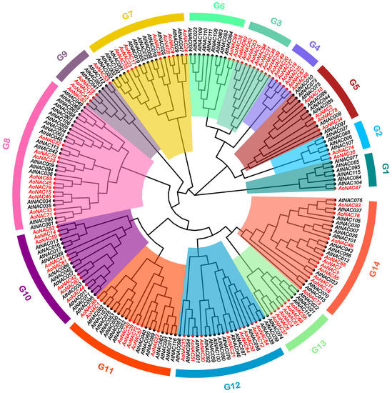 Genome-Wide Identification and Analysis of the NAC Transcription Factor ...