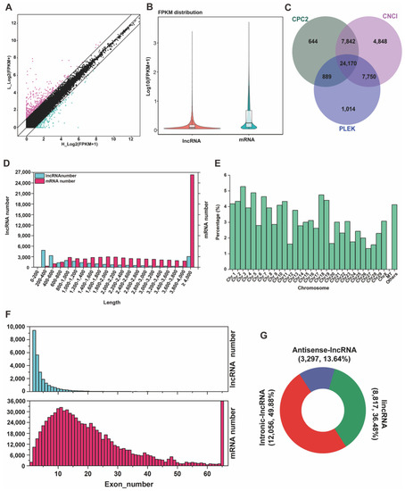 Genes | Free Full-Text | Integrated Analysis of mRNAs and Long Non 