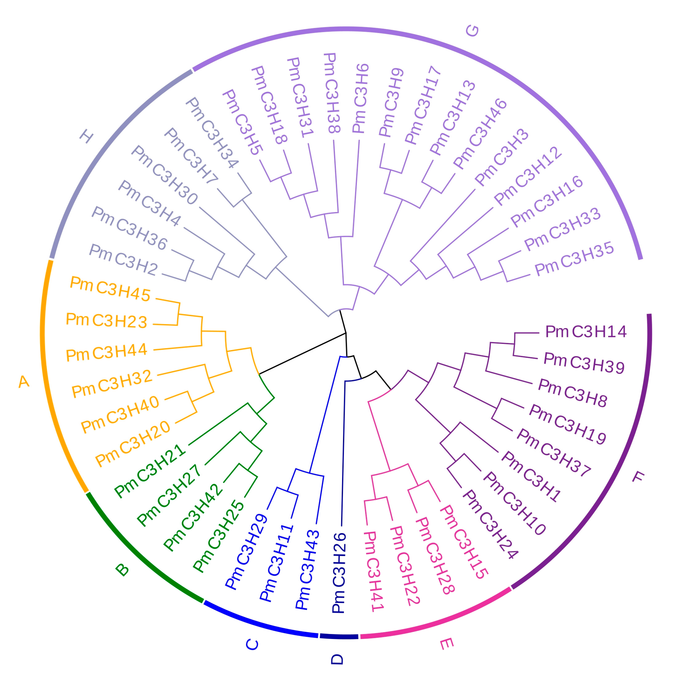 Genes | Free Full-Text | Transcriptome-Wide Identification Of CCCH-Type ...