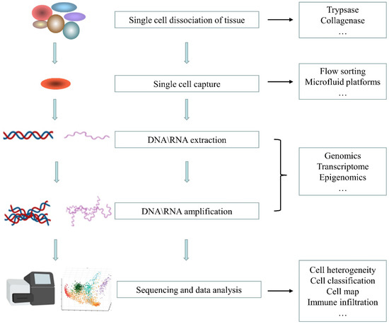 Genes | Free Full-Text | Advances in Single-Cell Sequencing Technology ...