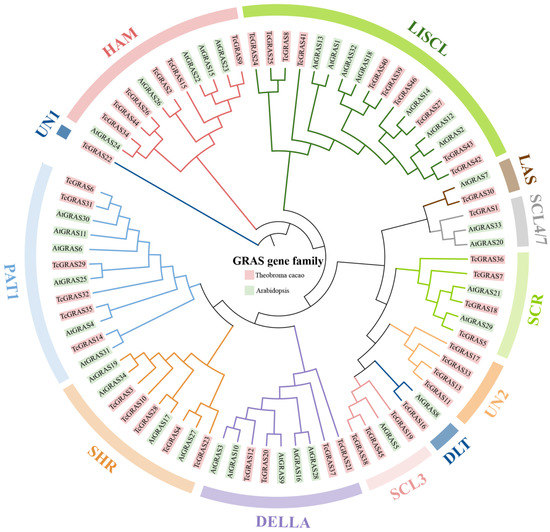 Genome-Wide Identification and Analysis of the GRAS Transcription ...