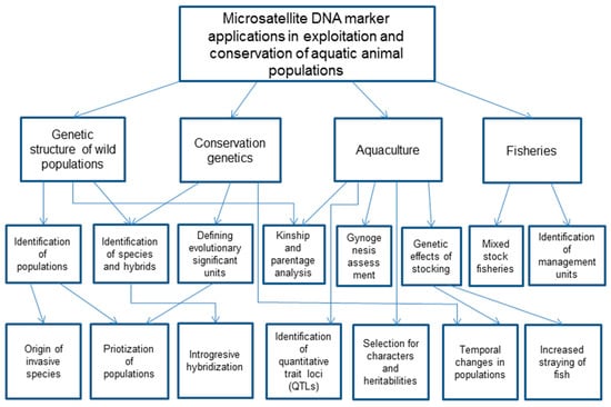 Machine Learning Based Classification of Microsatellite Variation