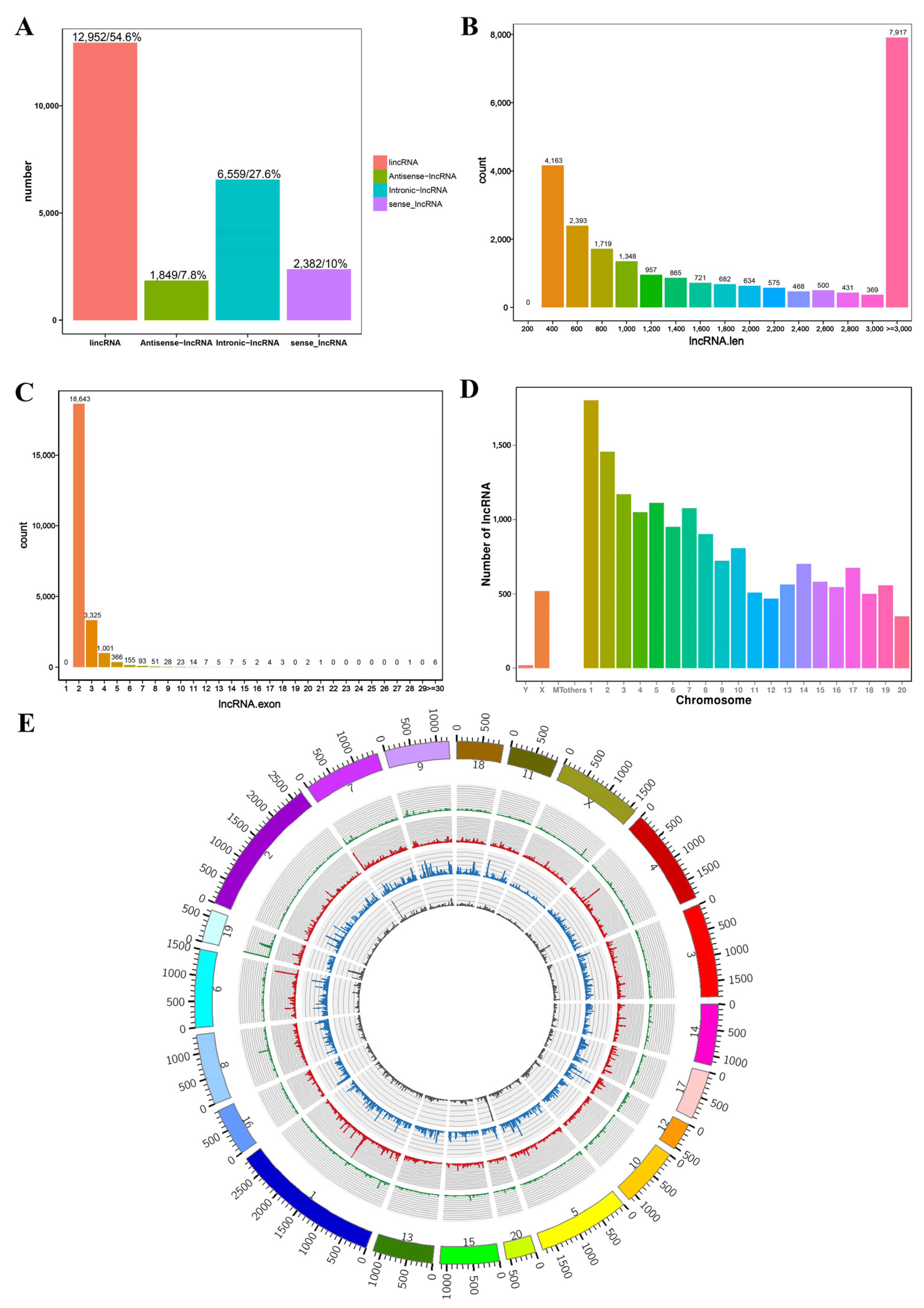 Genes Free Full-Text Sequencing of the Pituitary Transcriptome after GnRH Treatment Uncovers the Involvement of lncRNA-m23b/miR-23b-3p/CAMK2D in FSH Synthesis and Secretion