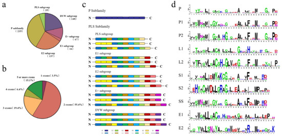 Genes | Free Full-Text | Characterization of the Liriodendron