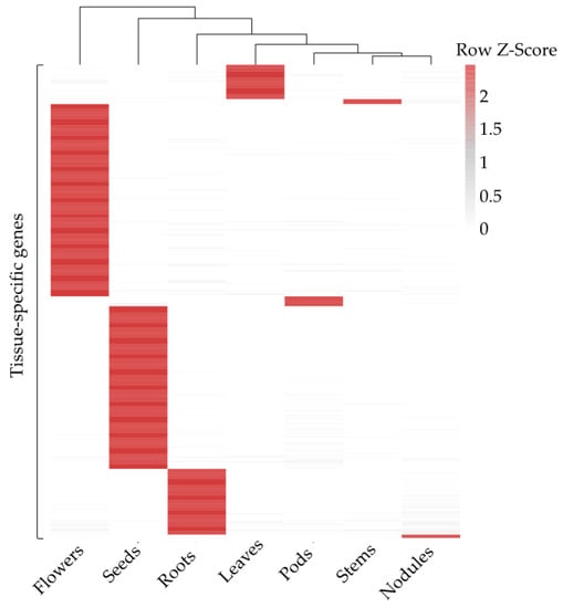 Genes Free Full Text Plant Promoters Their Identification