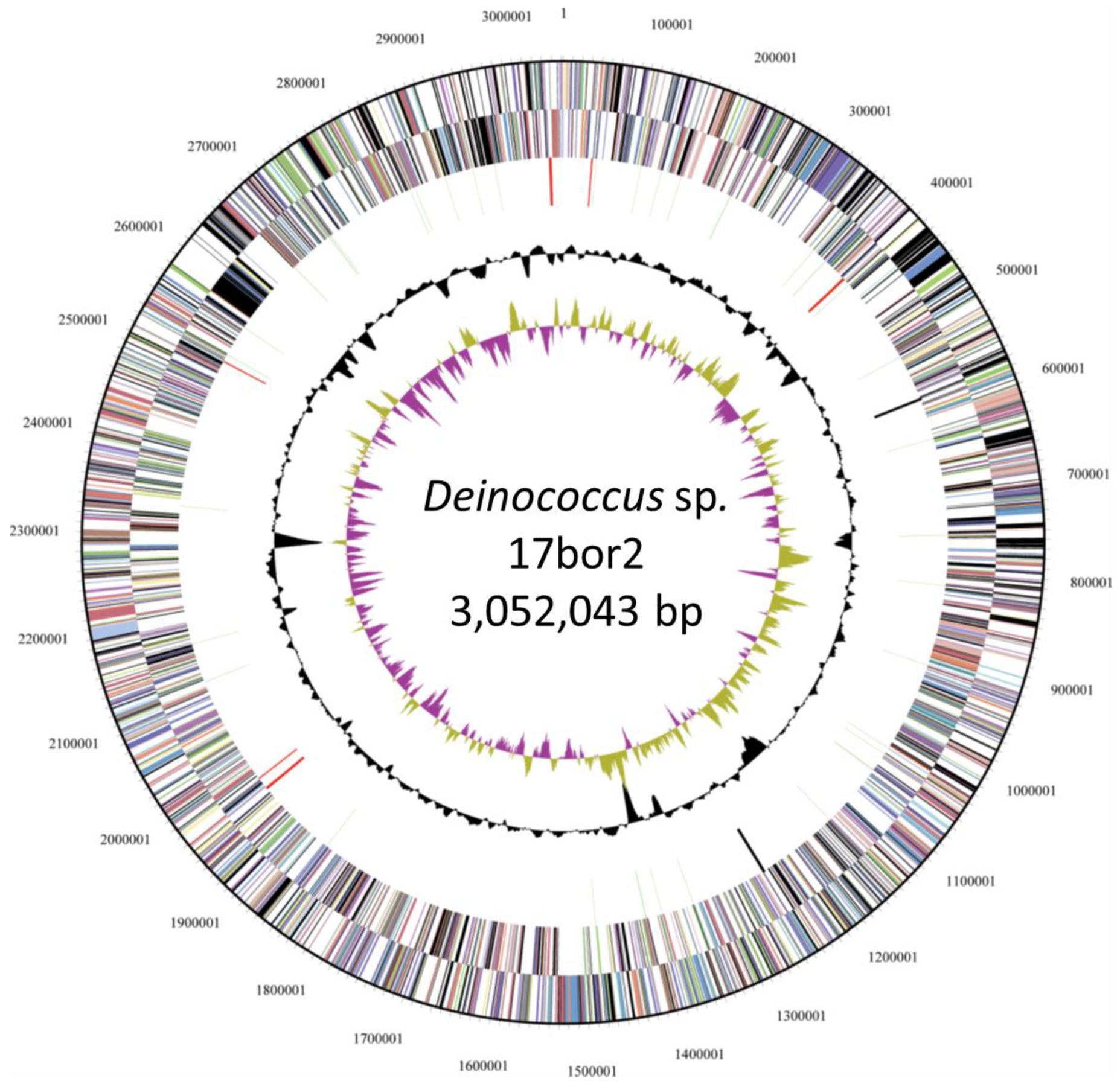 Molecular repertoire of Deinococcus radiodurans after 1 year of