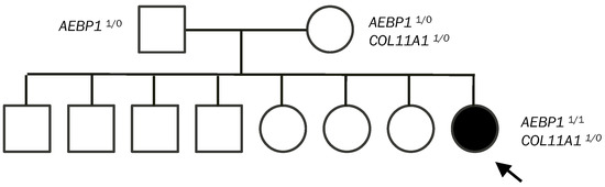 Genes | Free Full-Text | Clinical and Molecular Characterization of a ...