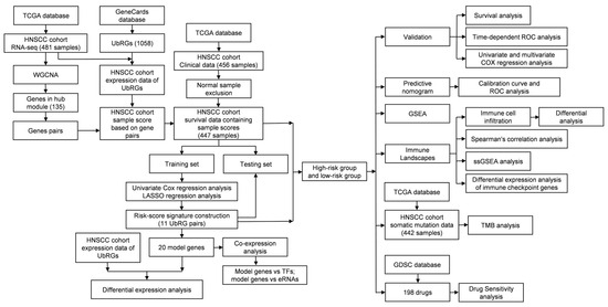 Genes | Free Full-Text | Ubiquitination-Related Gene Signature ...