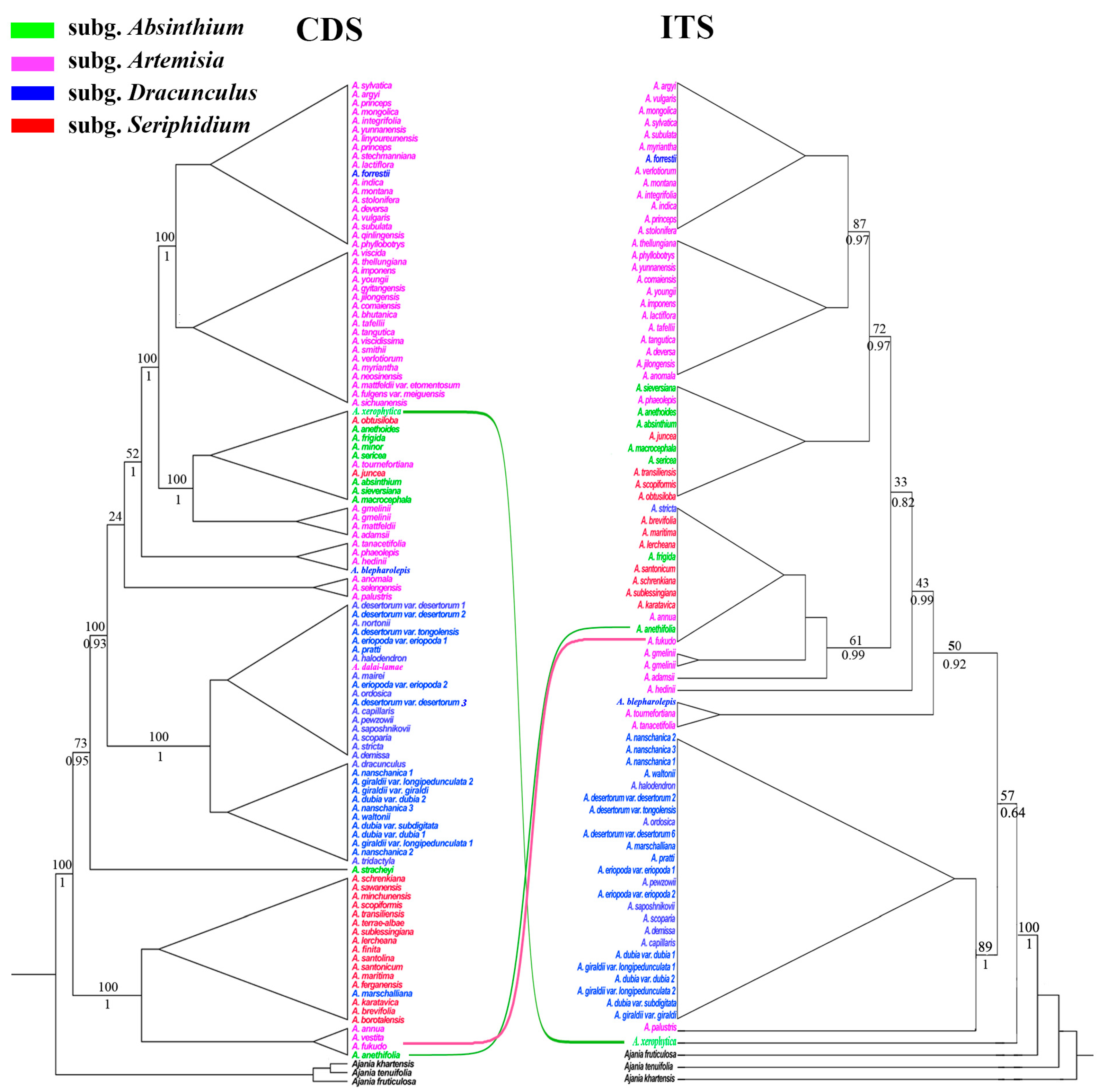 Comparative Analysis of Artemisia Plastomes, with