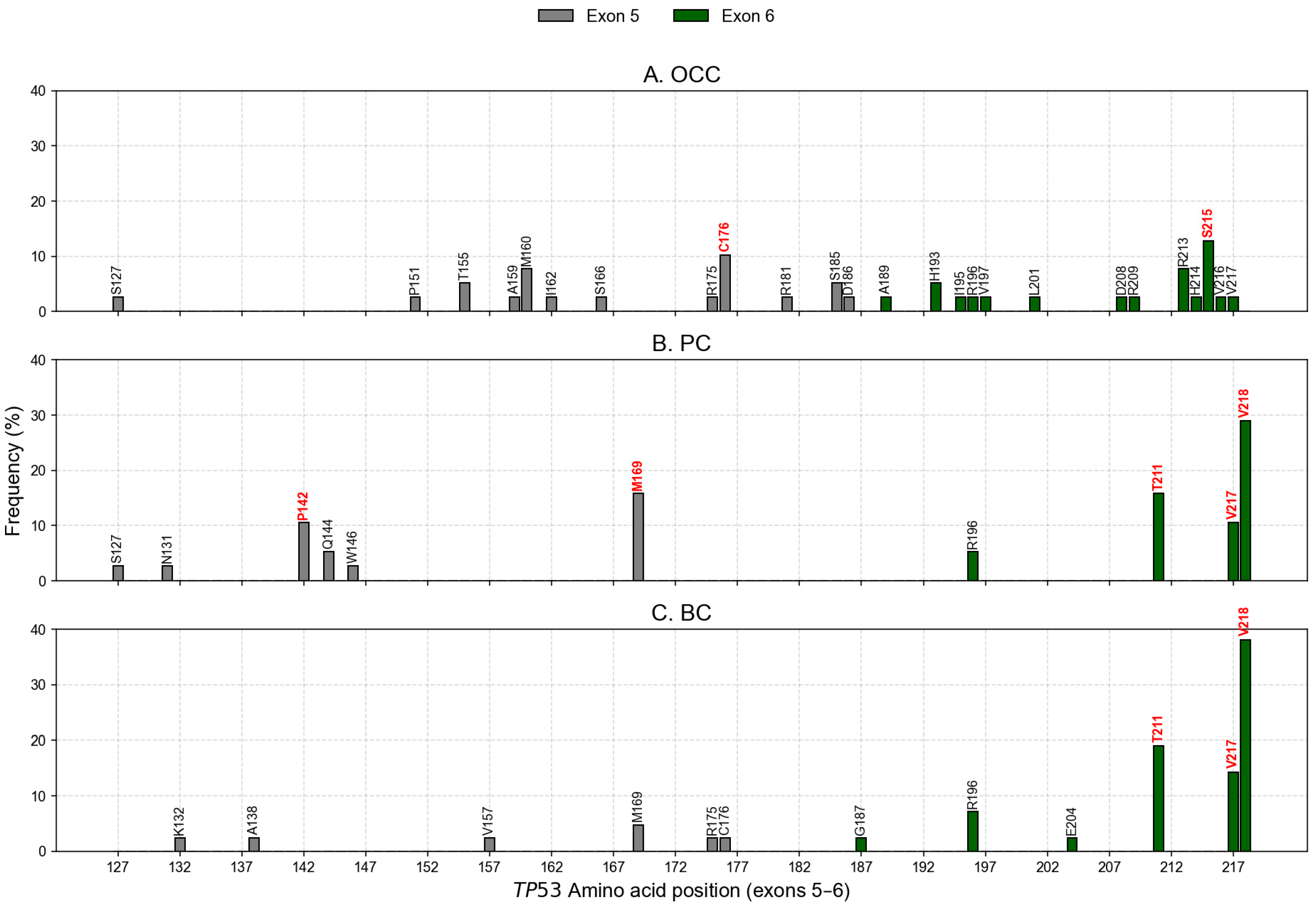 Integrative Computational Analysis of TP53 Exon 5–6 Mutations in Oral ...