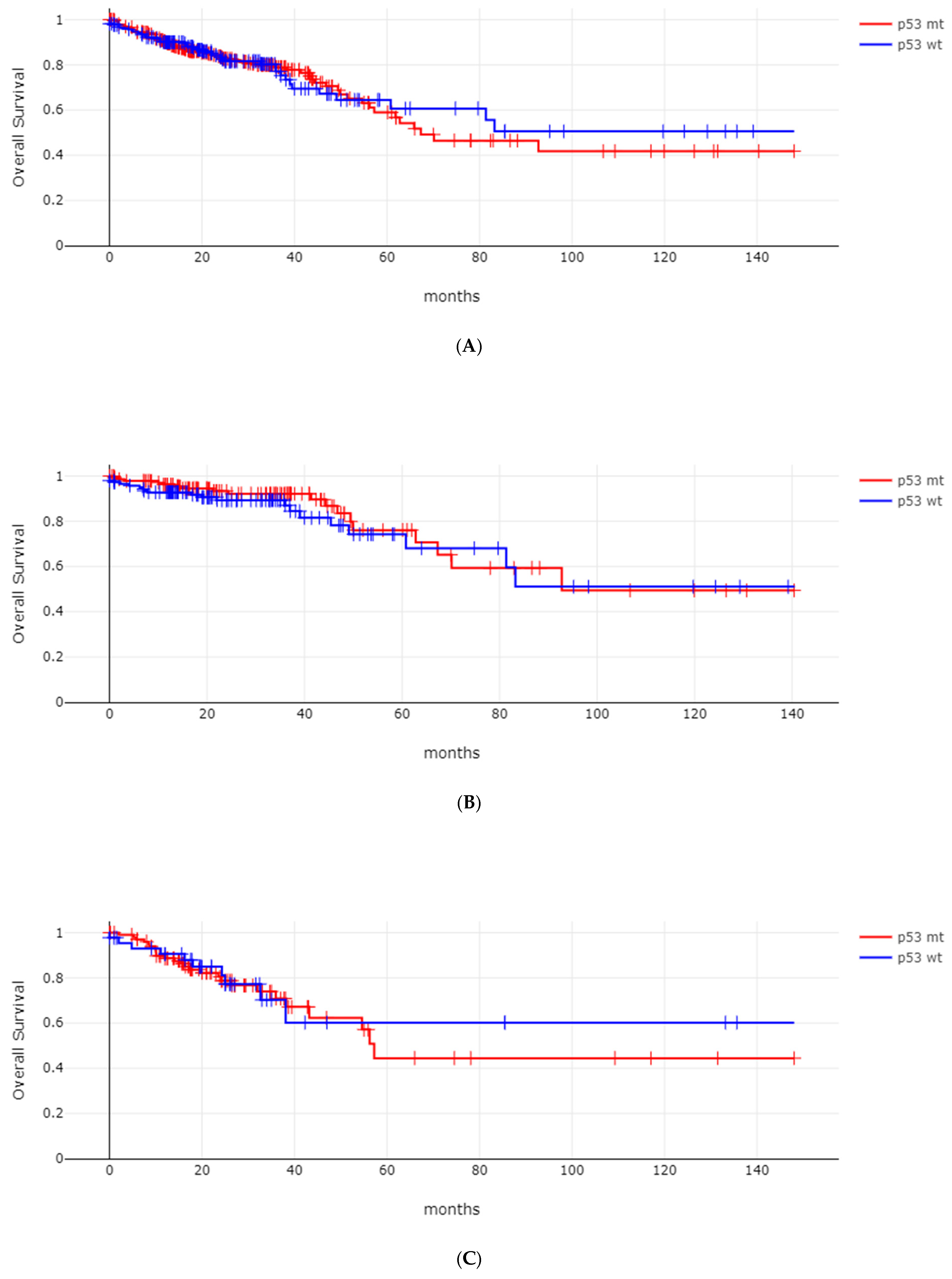The Regulation of p53 by Ubiquitination and Implications for ...