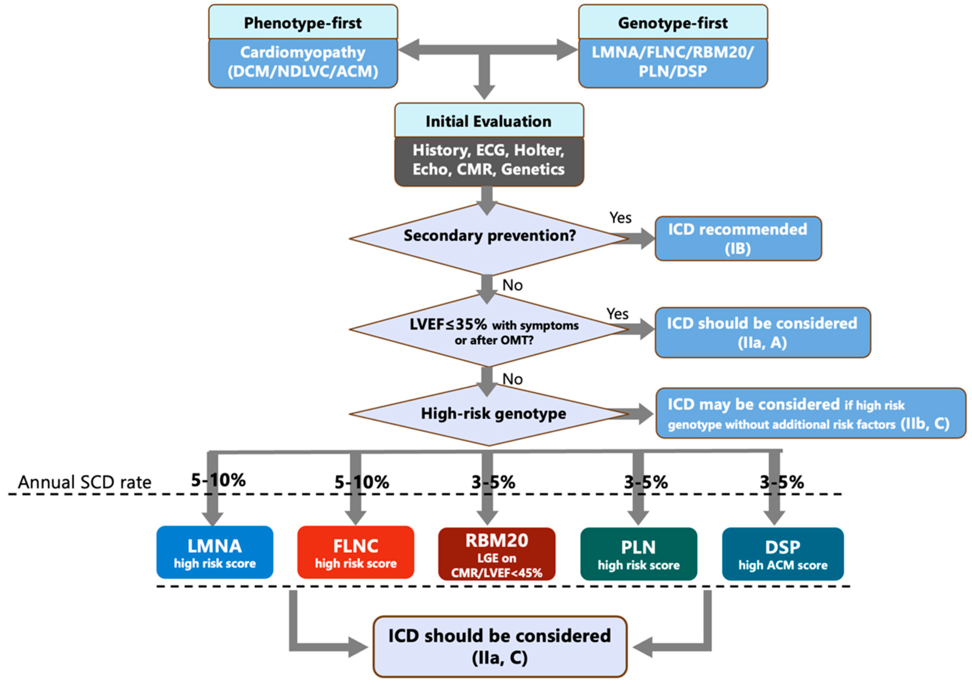 High-Risk Cardiomyopathy Genotypes and Arrhythmic Risk: LMNA, FLNC ...