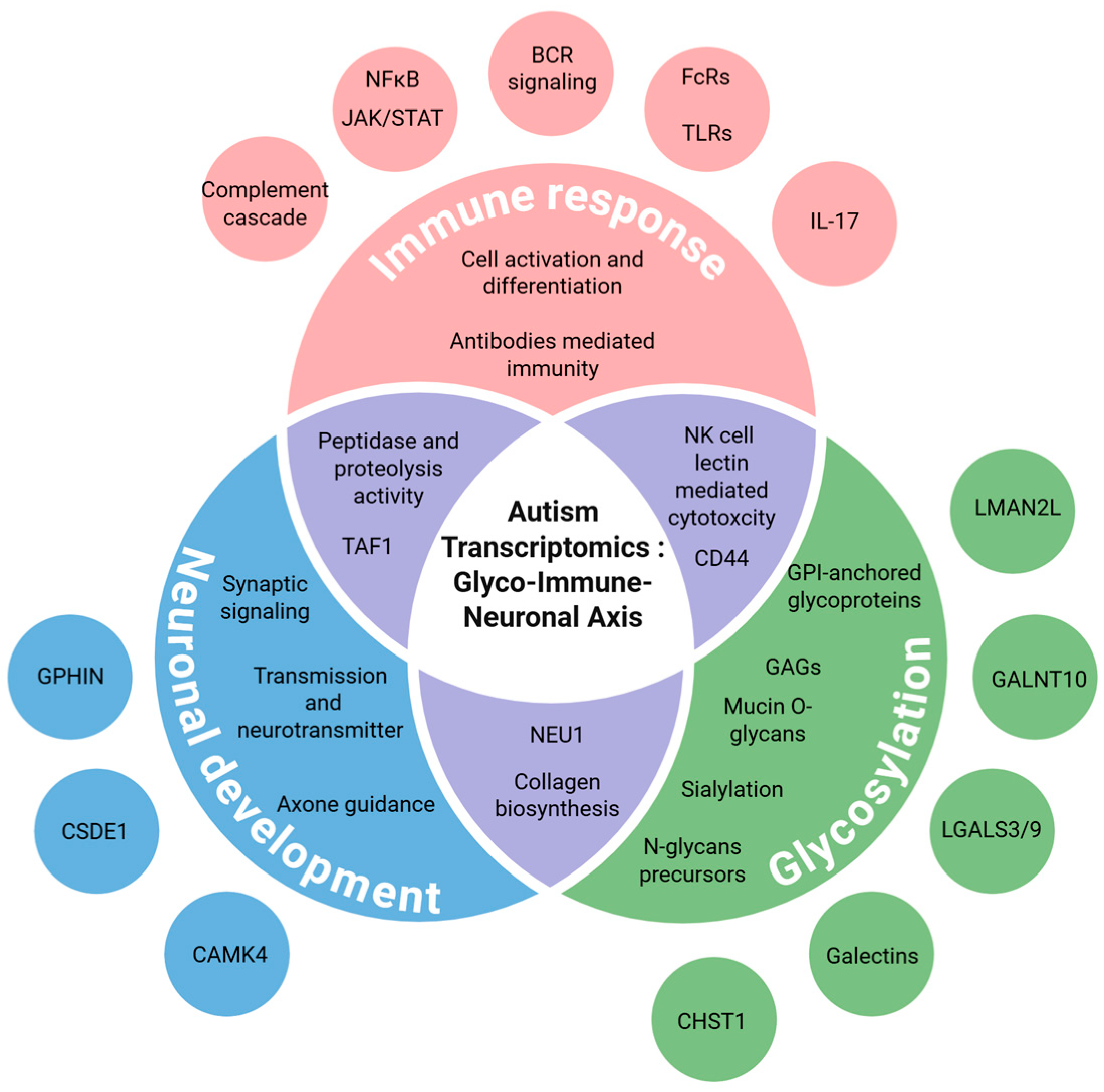 An Integrative Network Analysis Framework for Identifying Altered ...