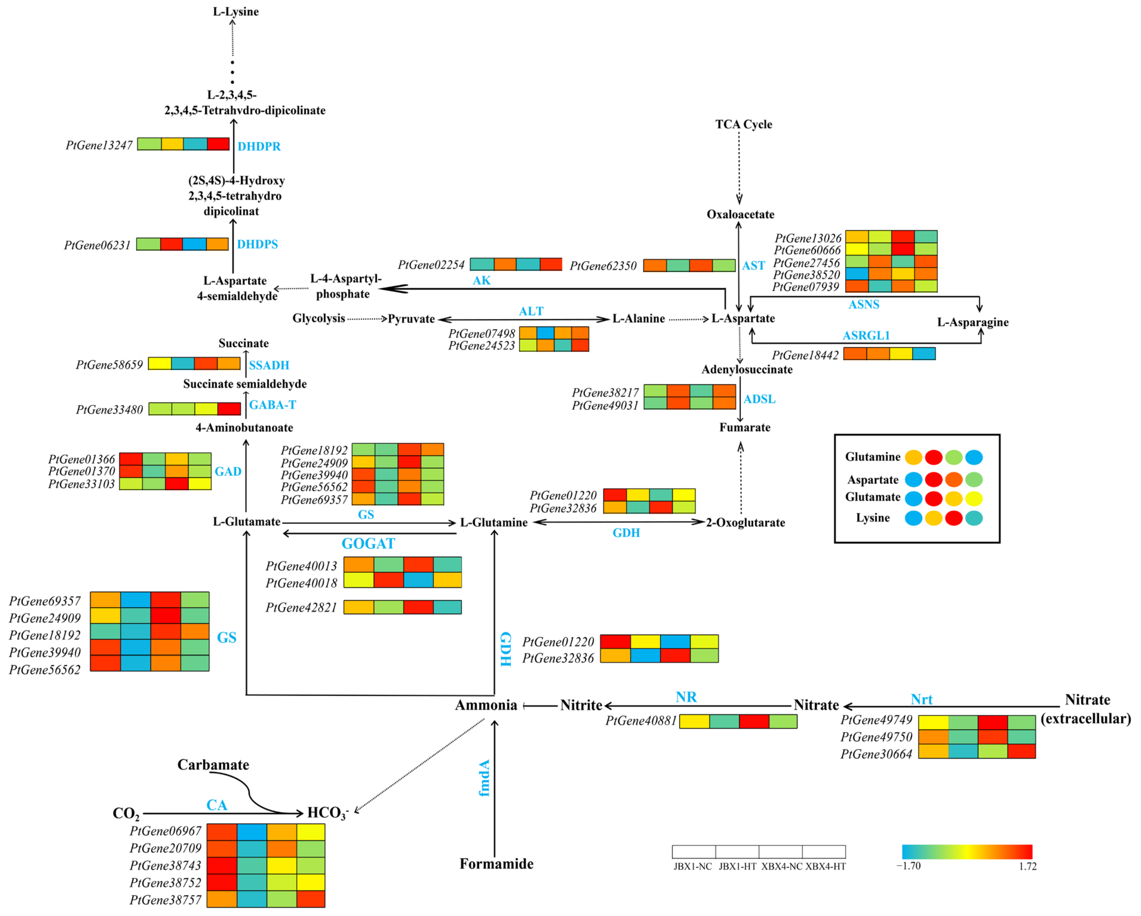 Integrated Metabolomic and Transcriptomic Analyses Reveal the ...