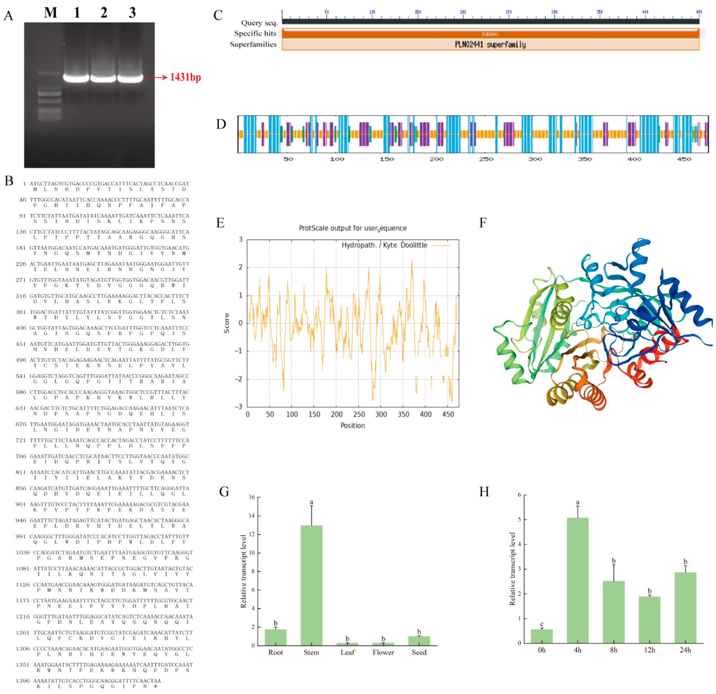 Overexpression of an Alfalfa Gene, MsCKX5, Confers Cold Tolerance in ...