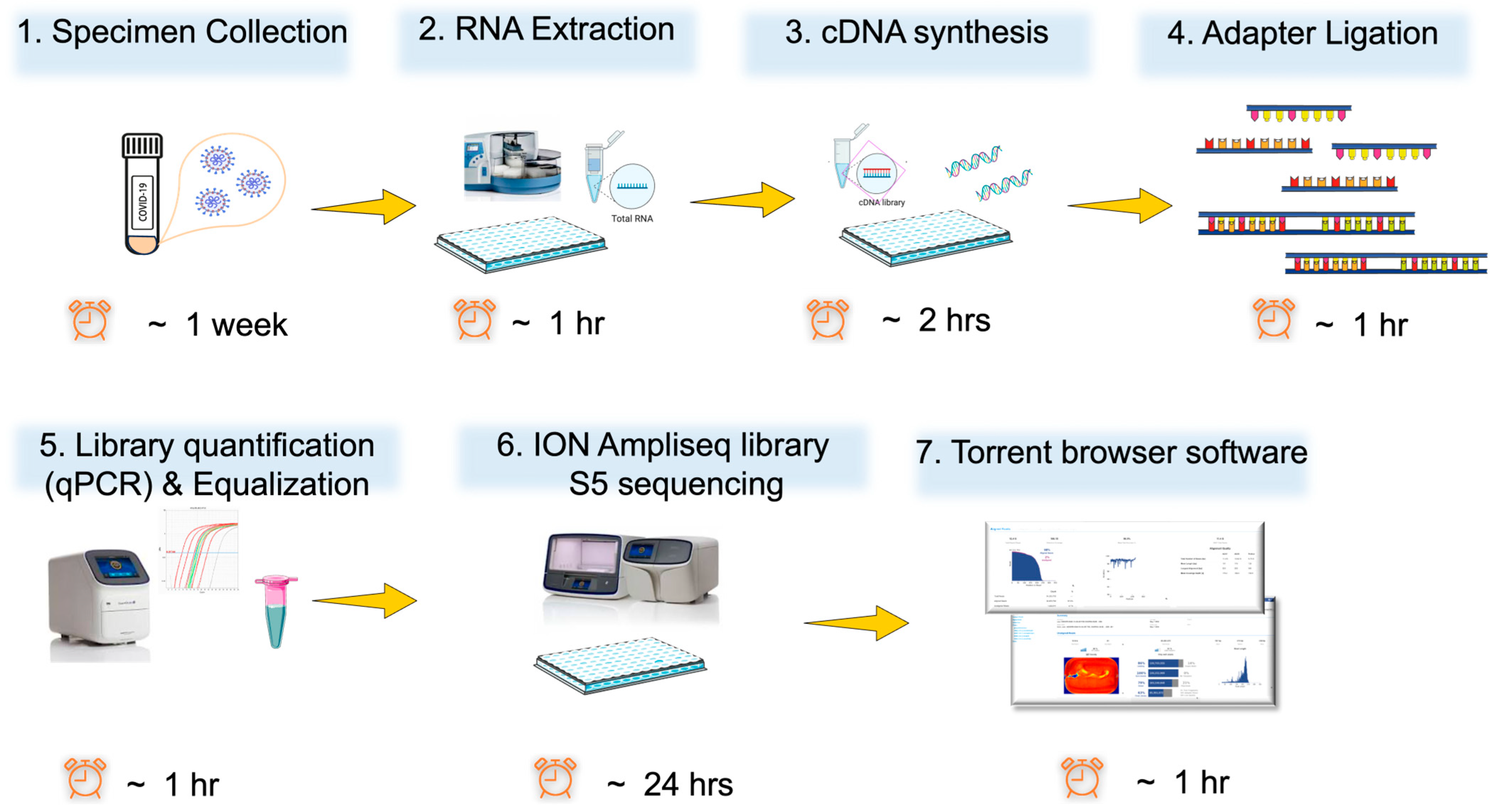 From Bench to Insight: Rapid Pathogen Genomic Surveillance Workflow for ...