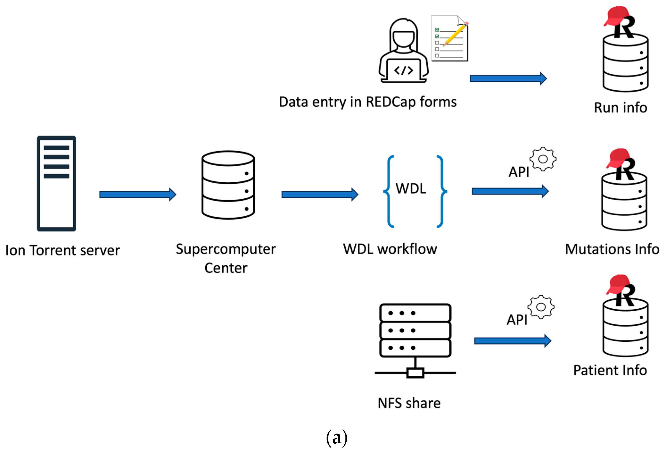 From Bench to Insight: Rapid Pathogen Genomic Surveillance Workflow for ...
