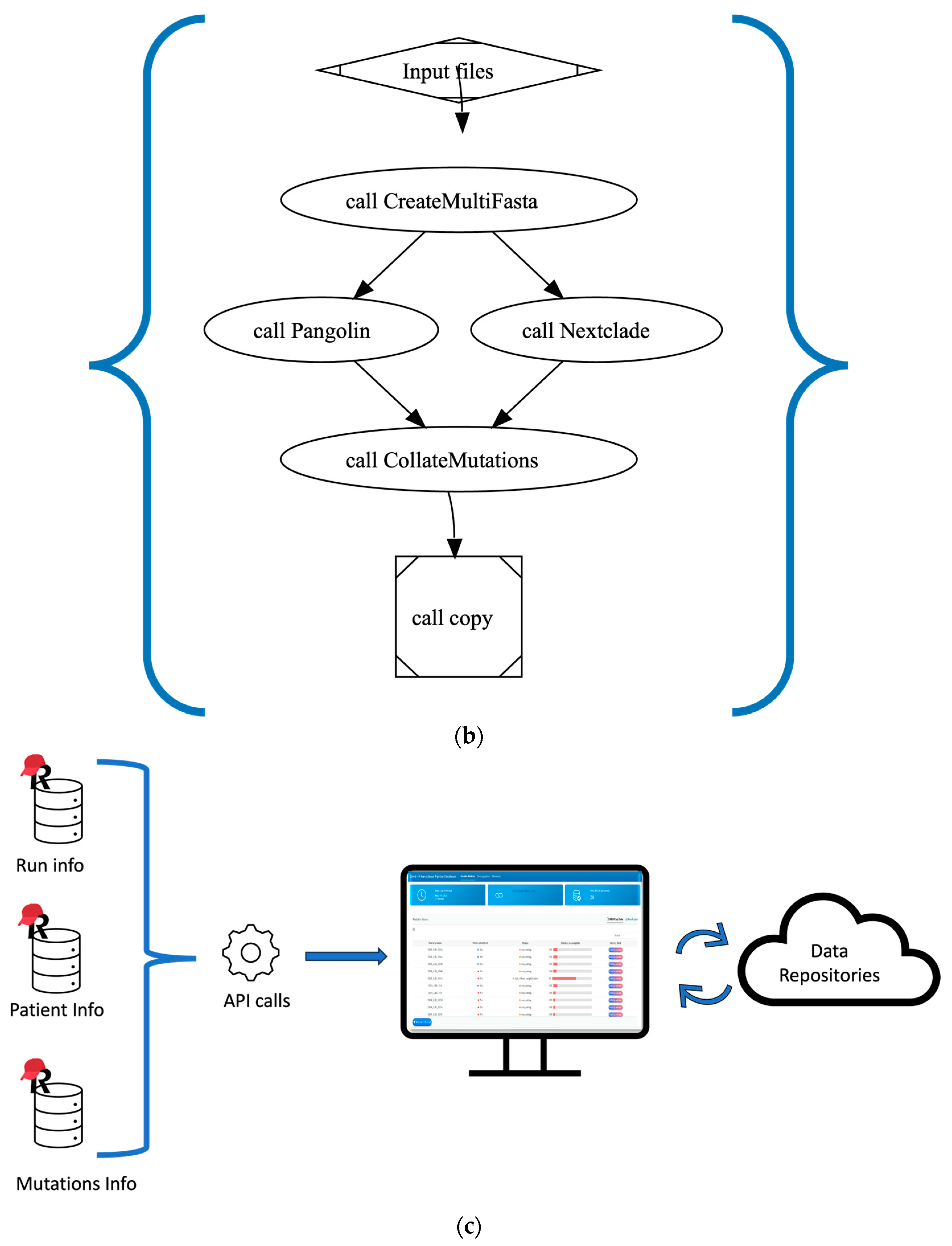 From Bench to Insight: Rapid Pathogen Genomic Surveillance Workflow for ...