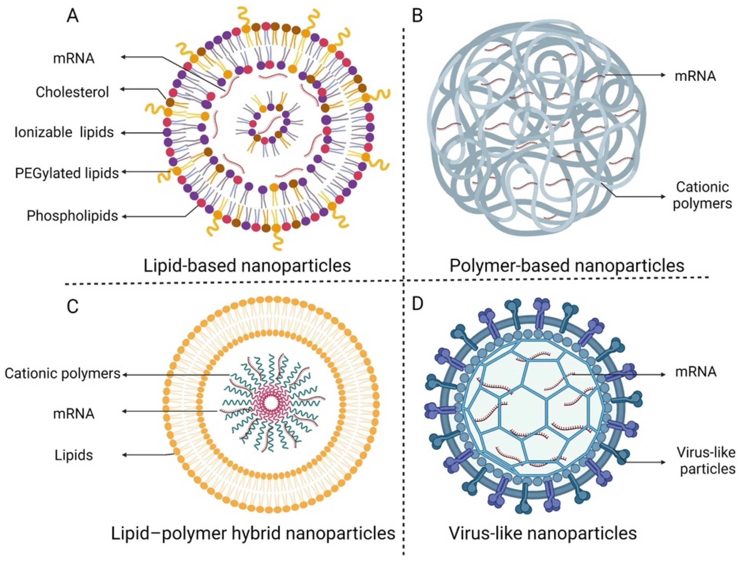 Polymeric Delivery System for mRNA Therapeutics: Design Principles and ...