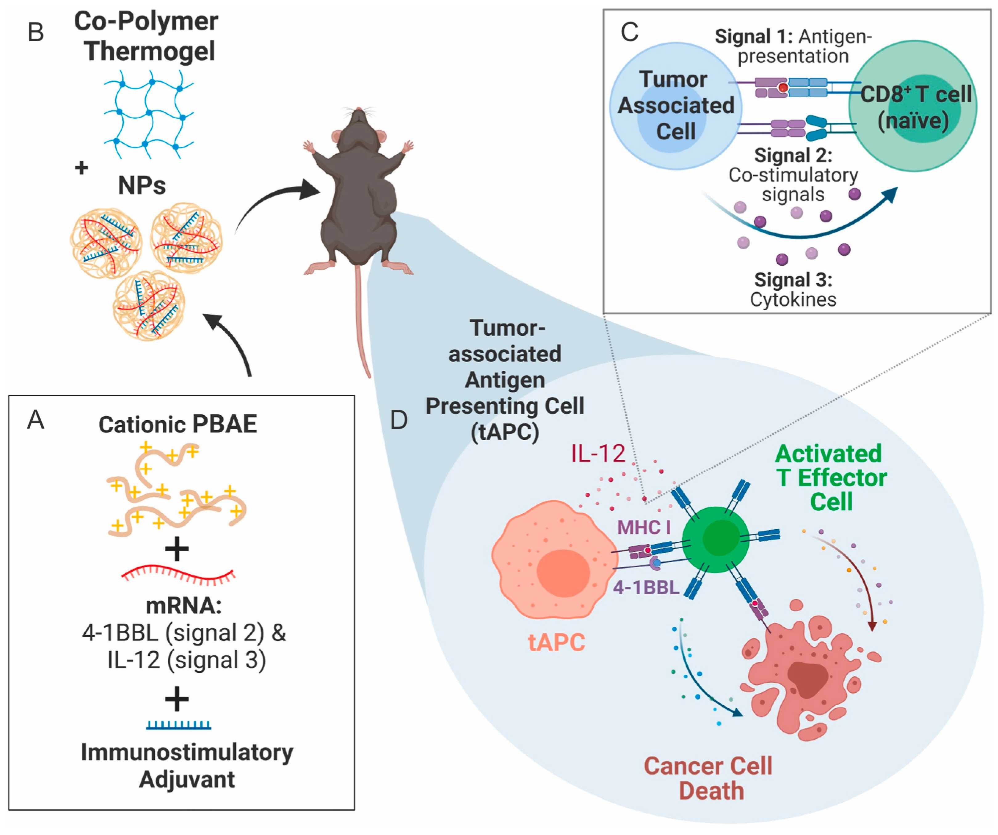 Polymeric Delivery System for mRNA Therapeutics: Design Principles and ...