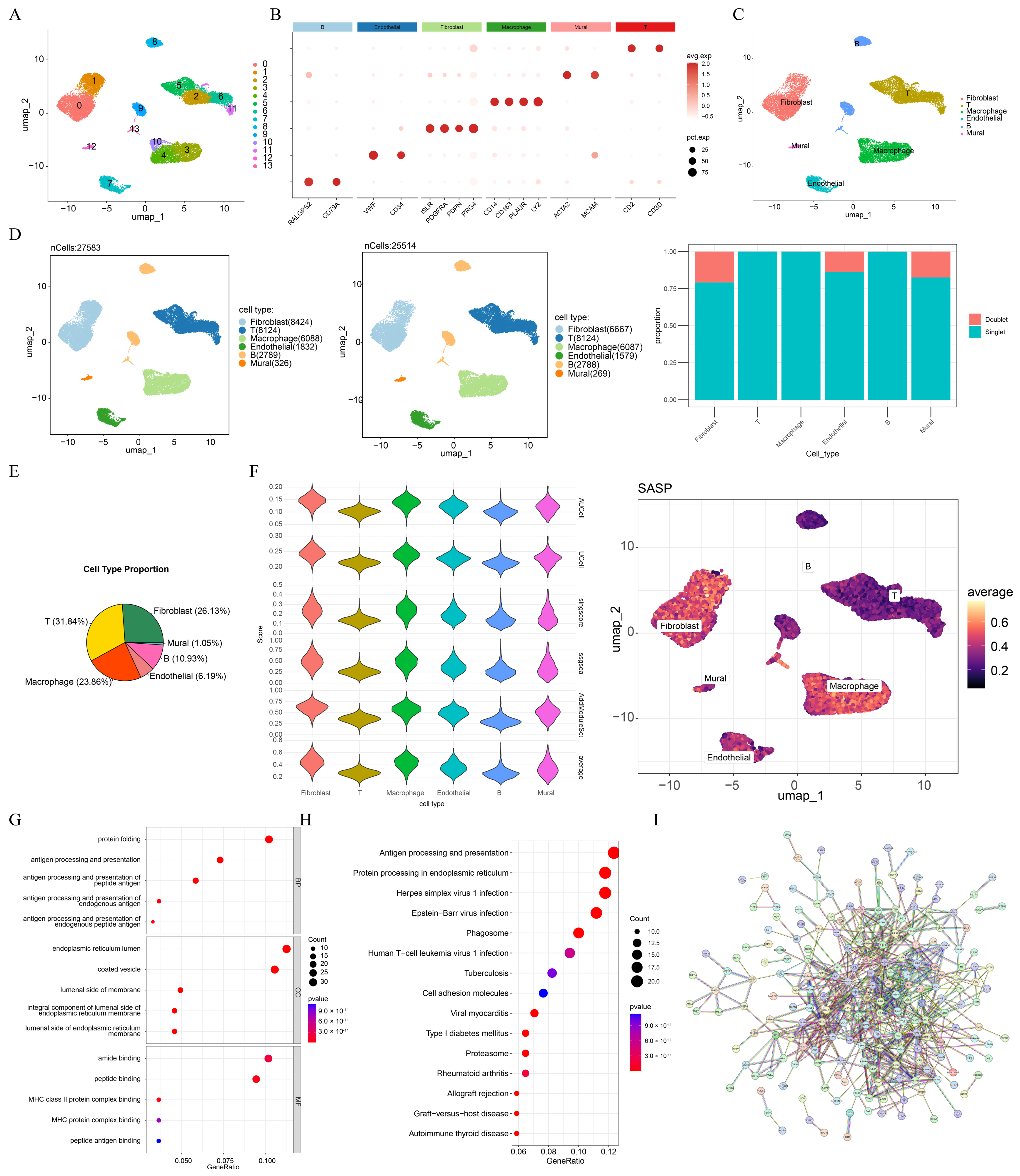 Integrated Bulk and Single-Cell Transcriptomic Analysis Identifies a ...