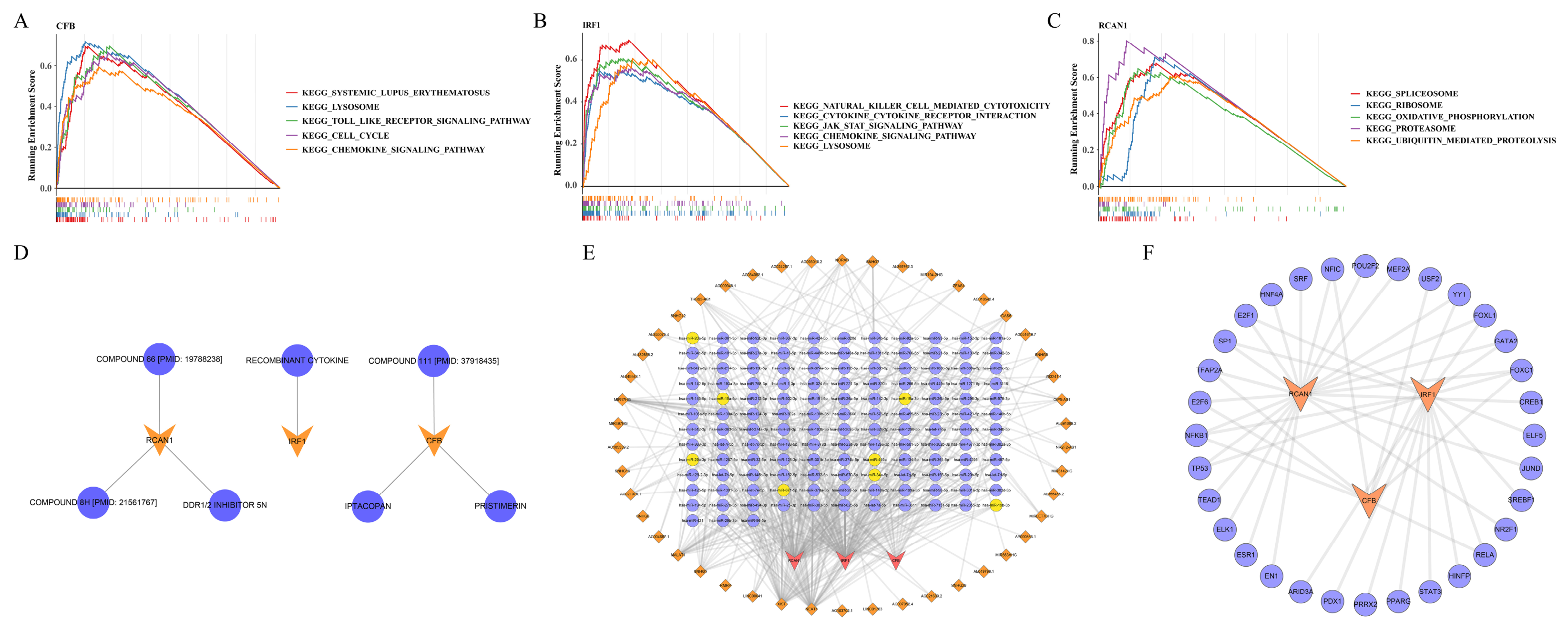 Integrated Bulk and Single-Cell Transcriptomic Analysis Identifies a ...