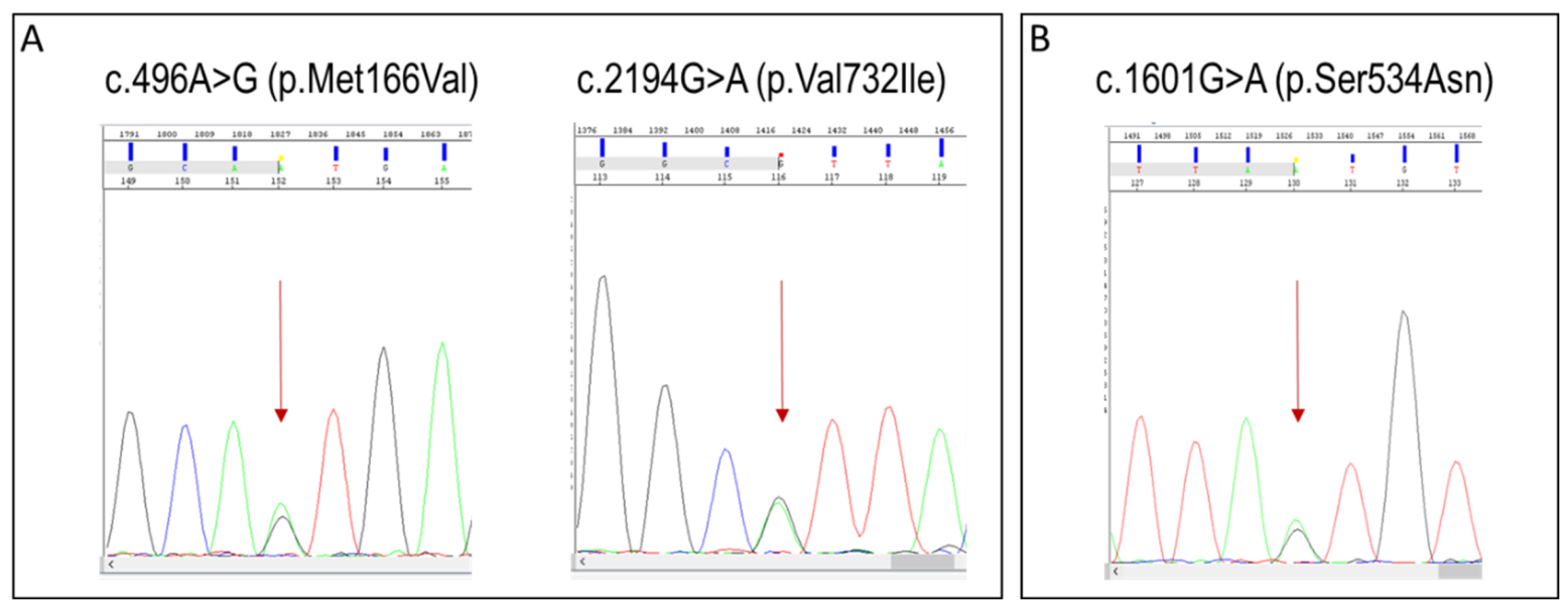 DPYD Genotyping of Patients with Fluoropyrimidine Treatment: Results of ...