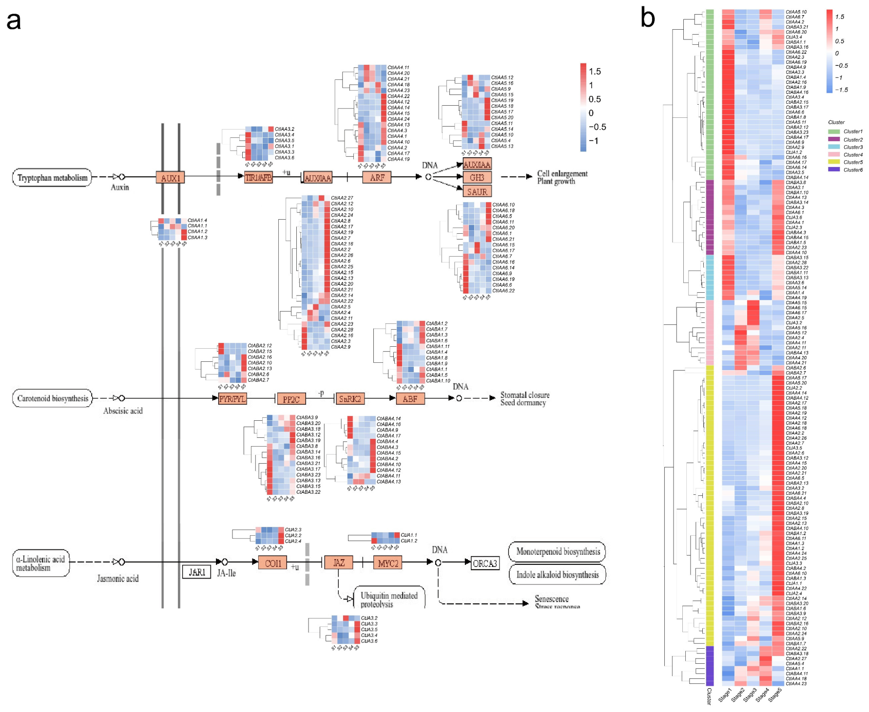Transcriptome Analysis of lncRNA and mRNA Expression Profiles During ...