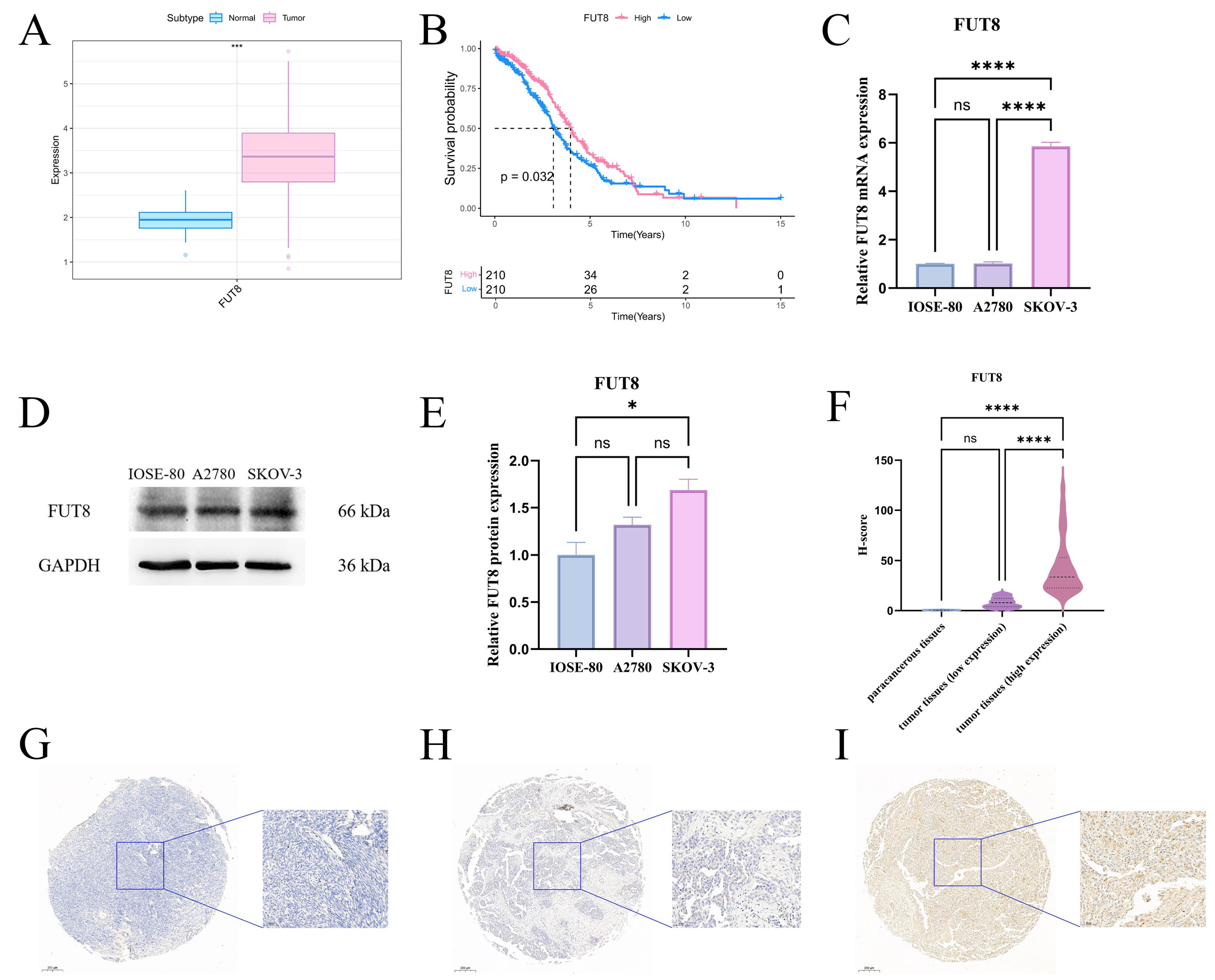 Integrated Single-Cell and Bulk Transcriptomic Analyses Identify a B ...