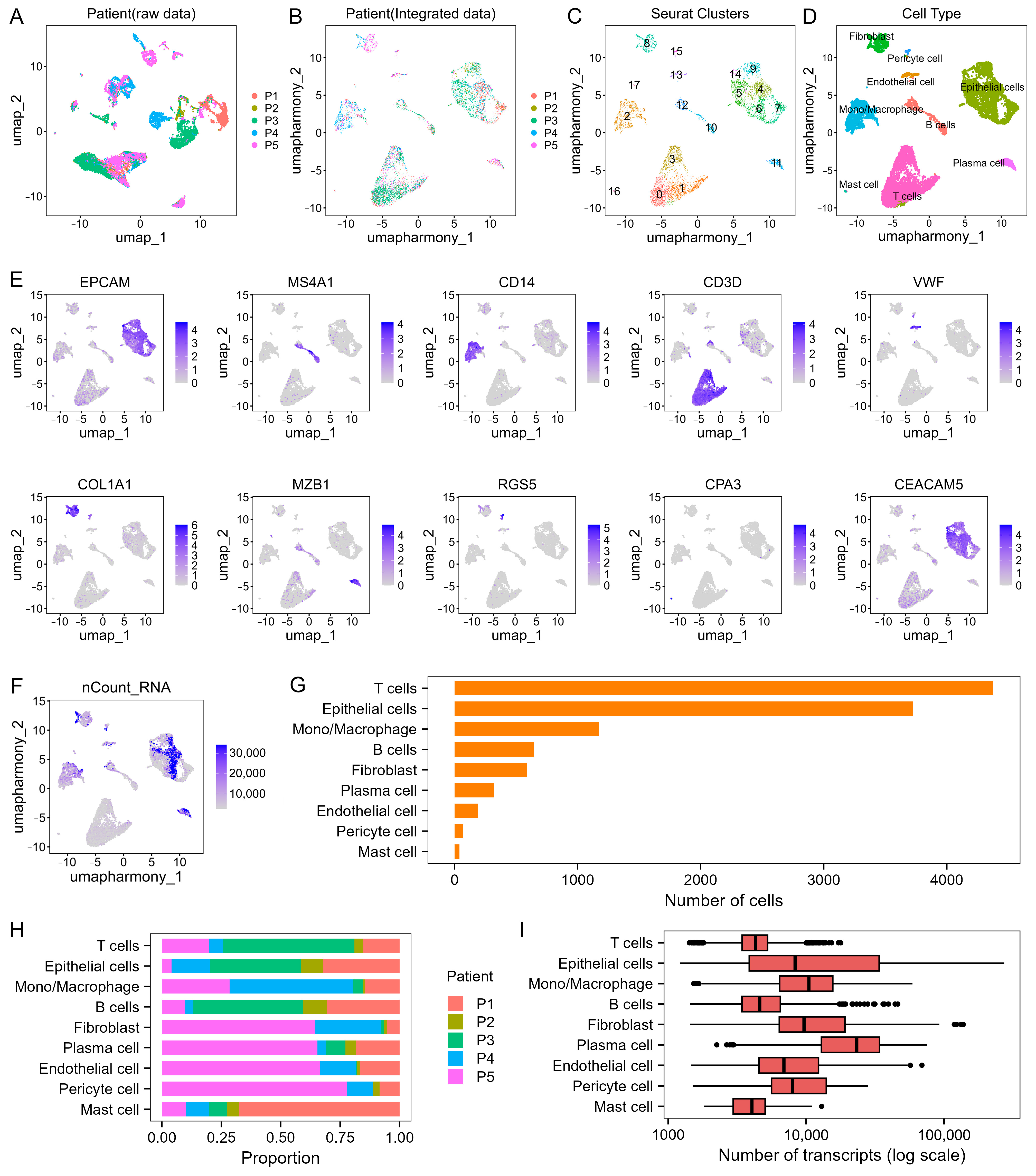 Integrated Single-Cell and Spatial Transcriptomic Analysis Reveals the ...