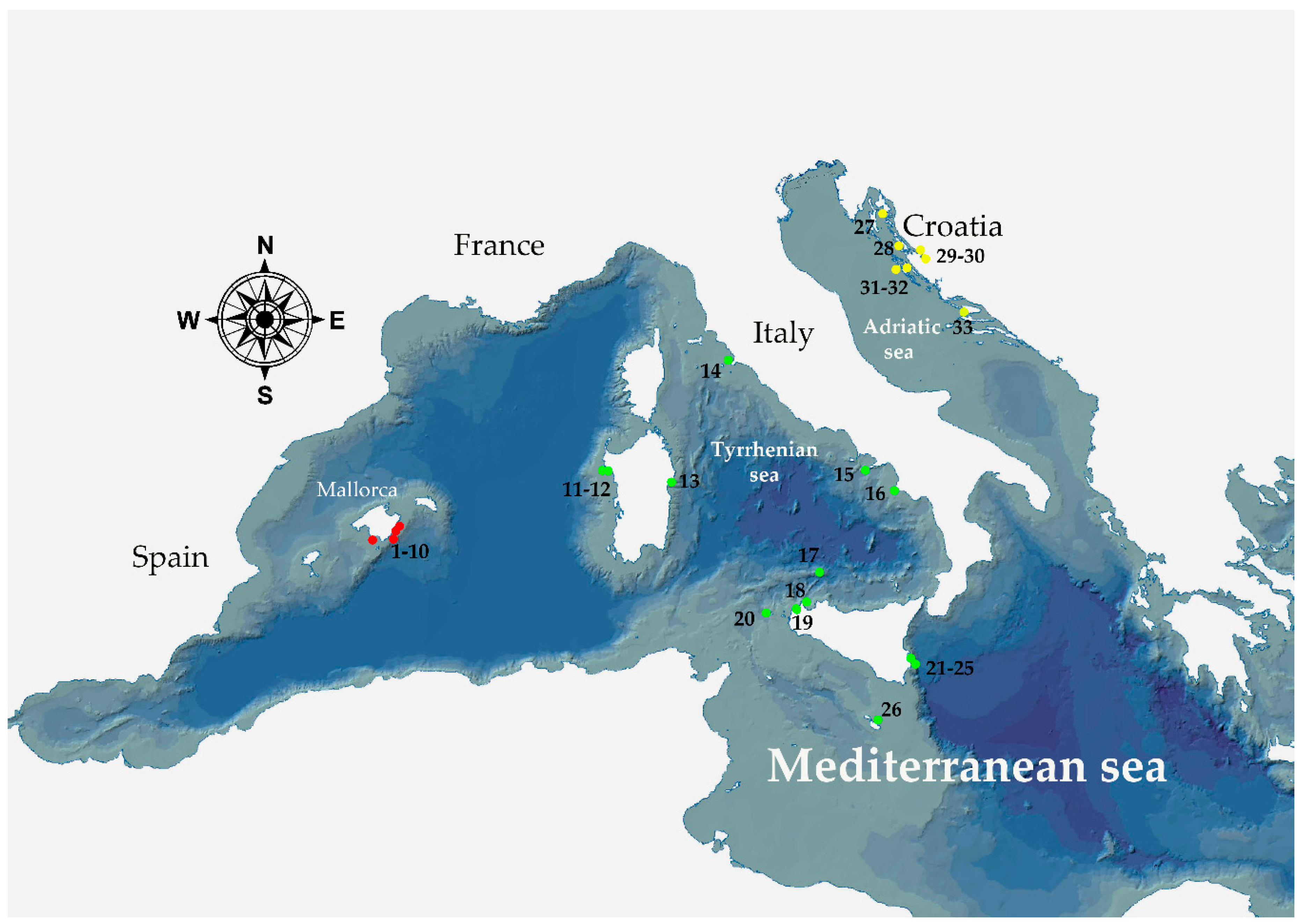Map of the Mediterranean Sea indicating the sampled localities, coded