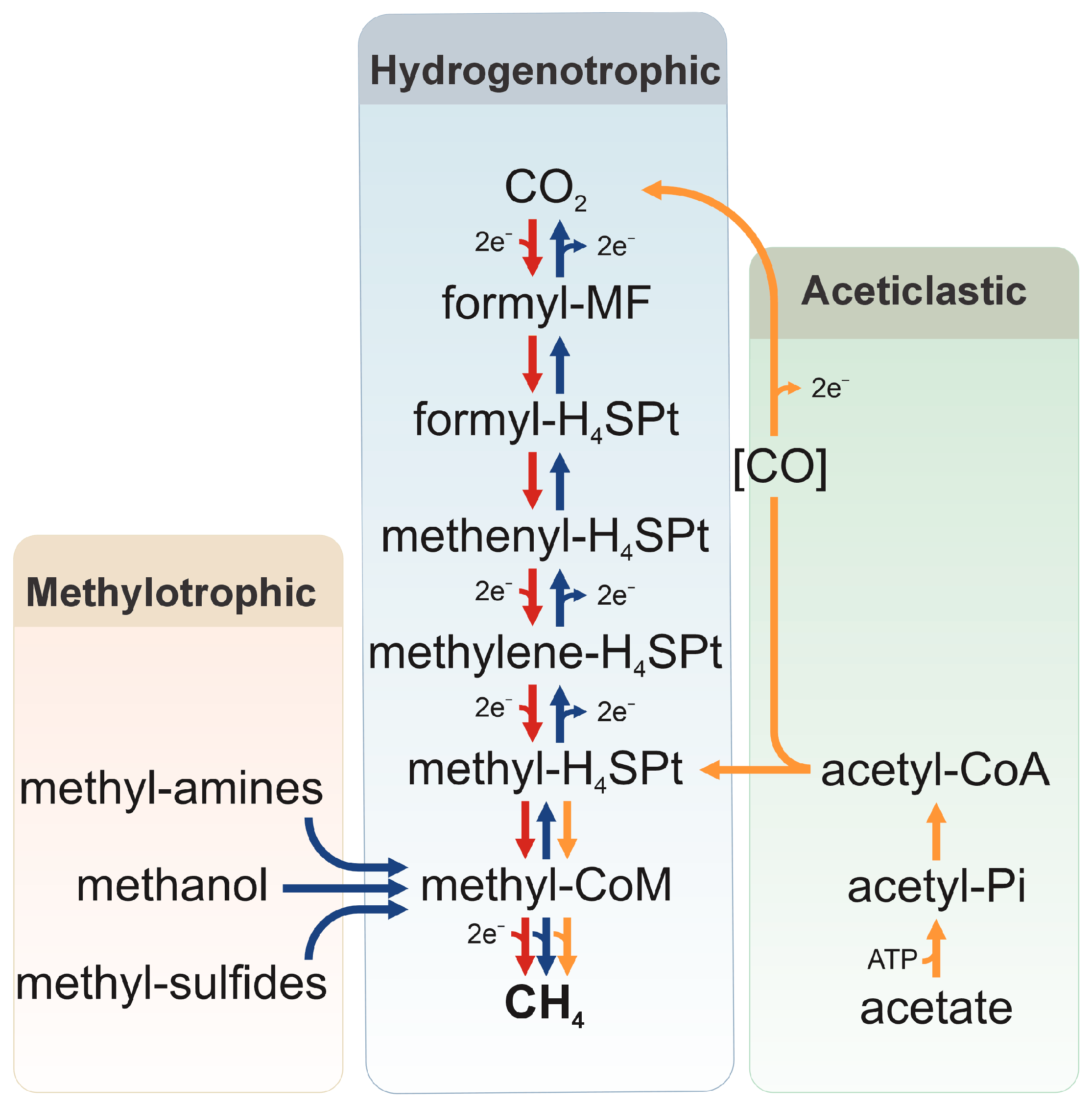Metrogenic Methanogens Through Time and Space: Impact on Earth’s Planetary ...