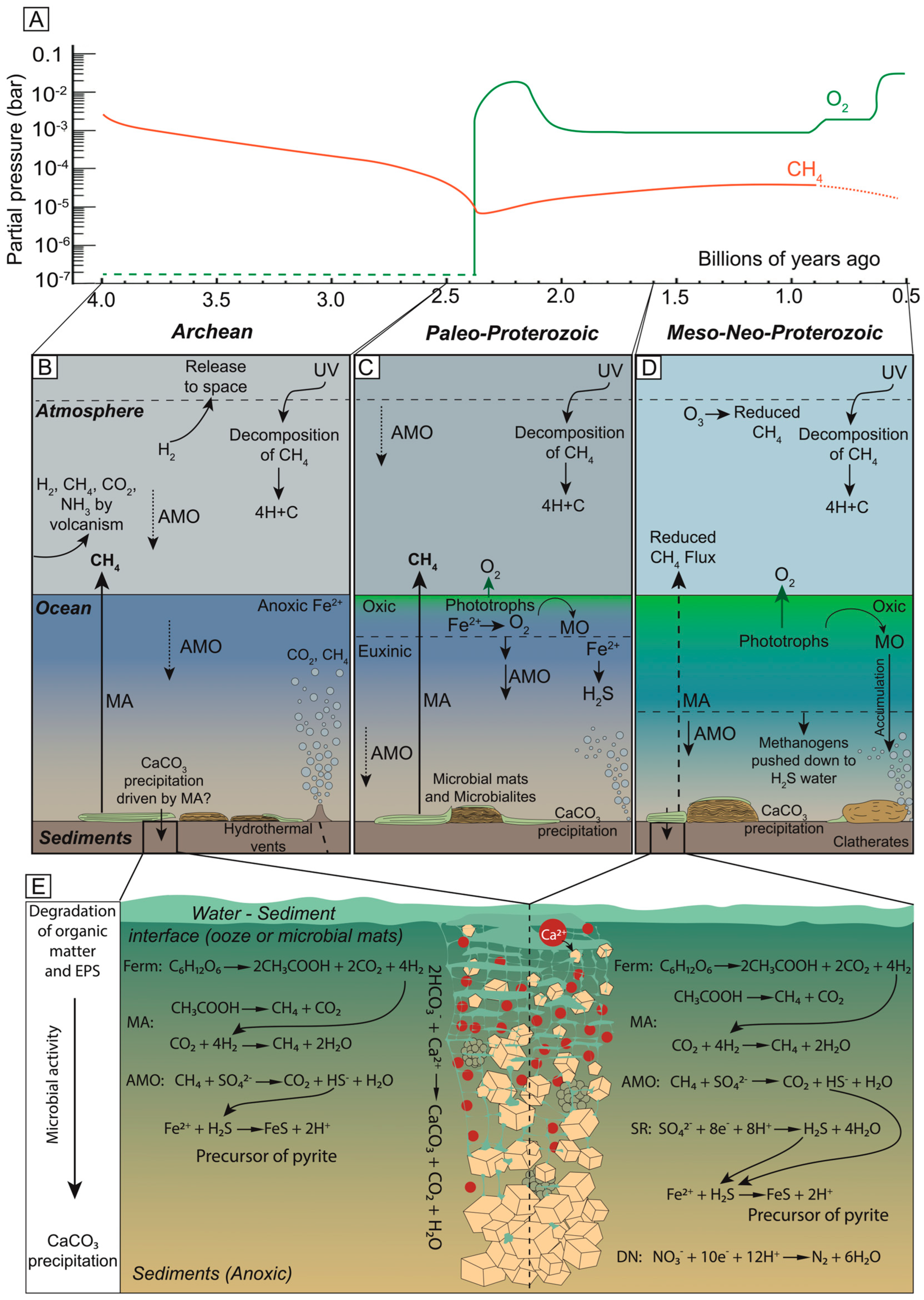 Methanogens Through Time and Space: Impact on Earth’s Planetary ...