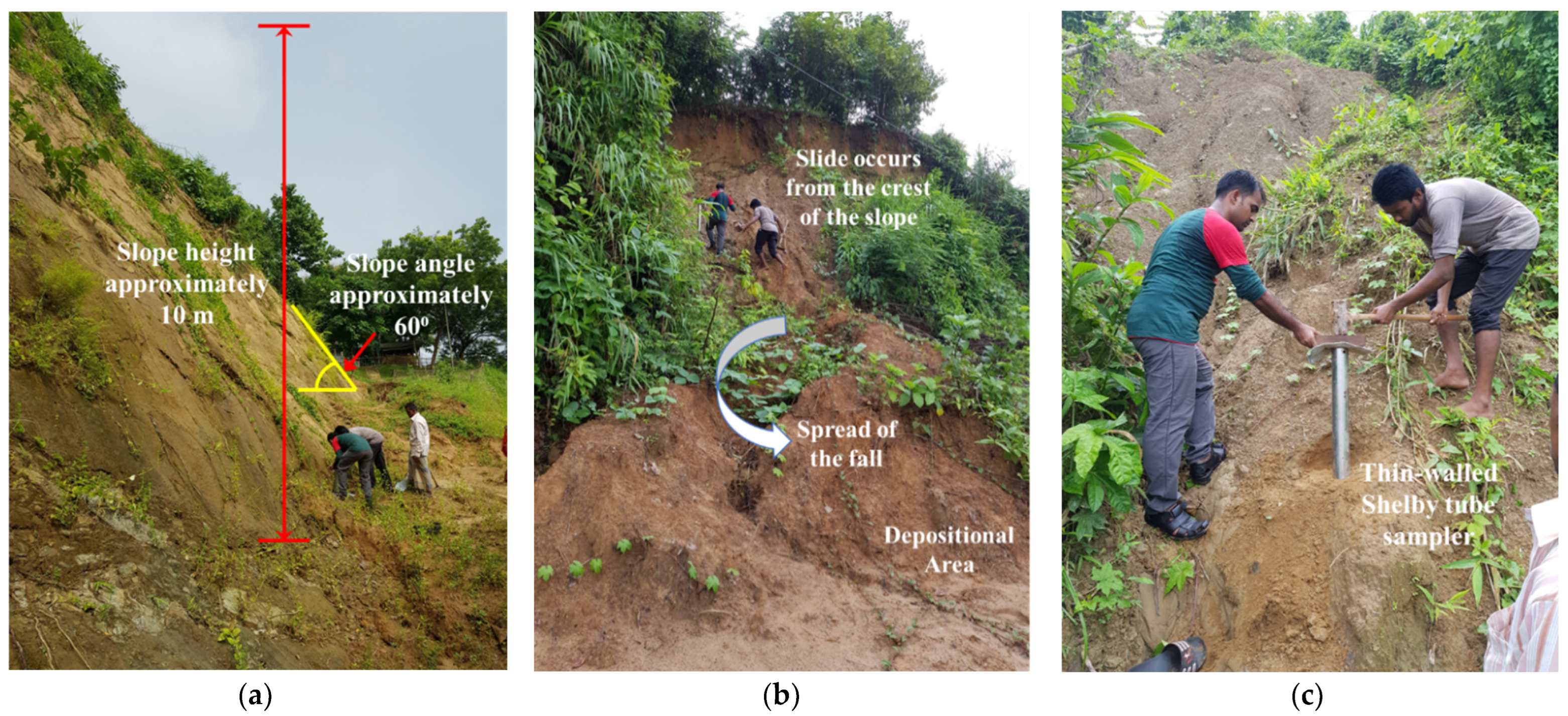Numerical study for optimal design of soil nailed embankment slopes |  International Journal of Geo-Engineering