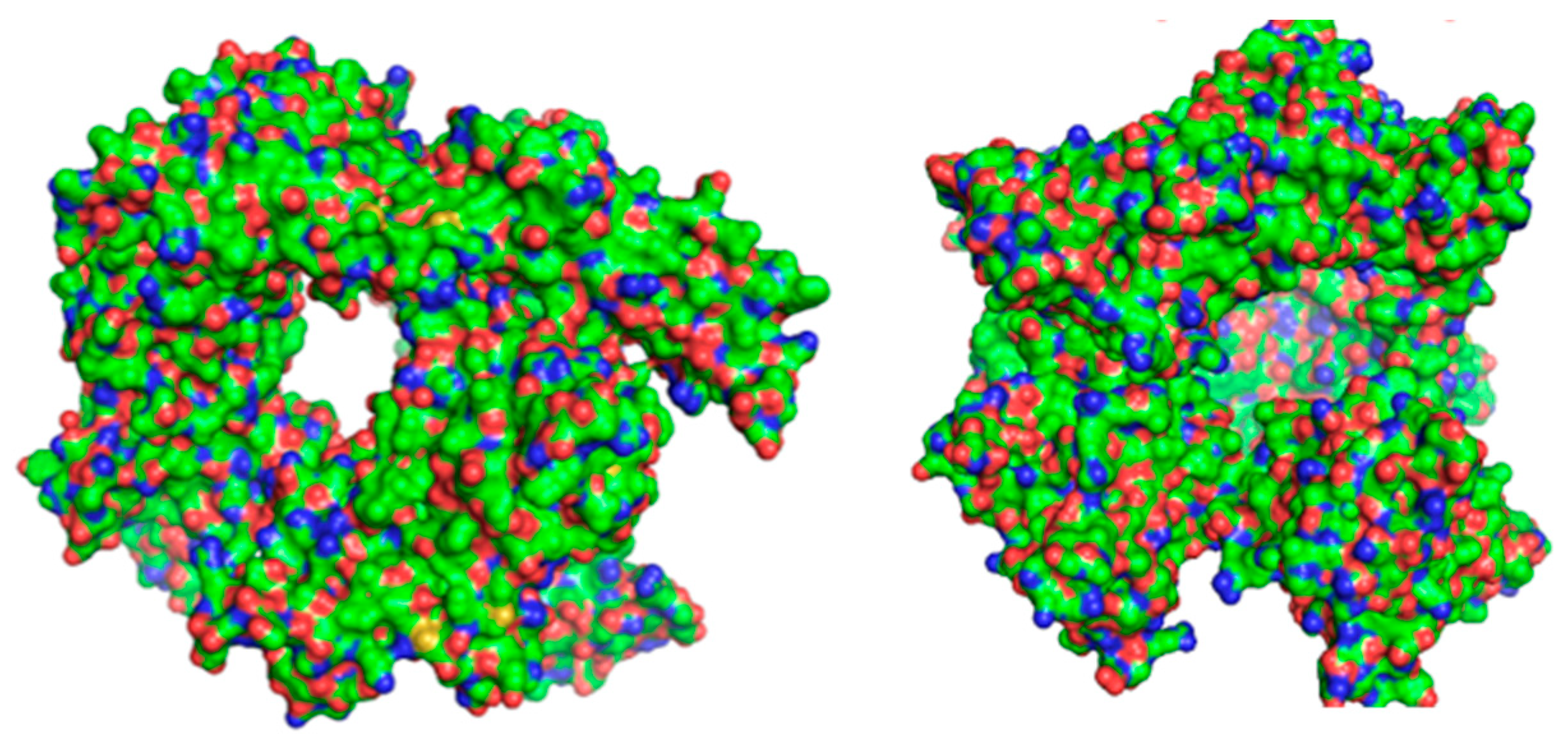 Decoding Norovirus Biology: Insights into Epidemiology, Structural ...
