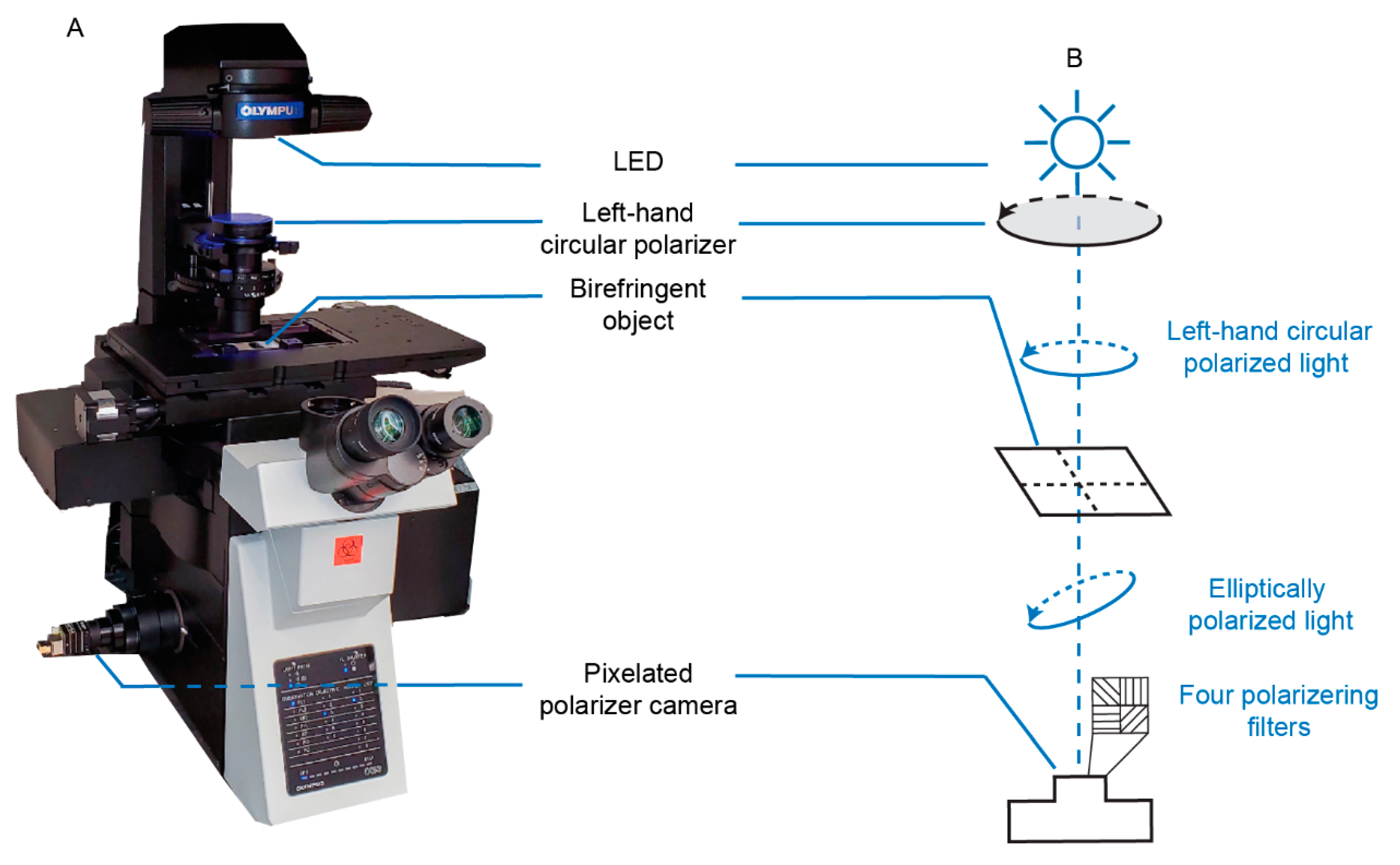 A Novel Polarized Light Microscope For The Examination Of Birefringent A Novel Polarized Light Microscope For The Examination Of Birefringent