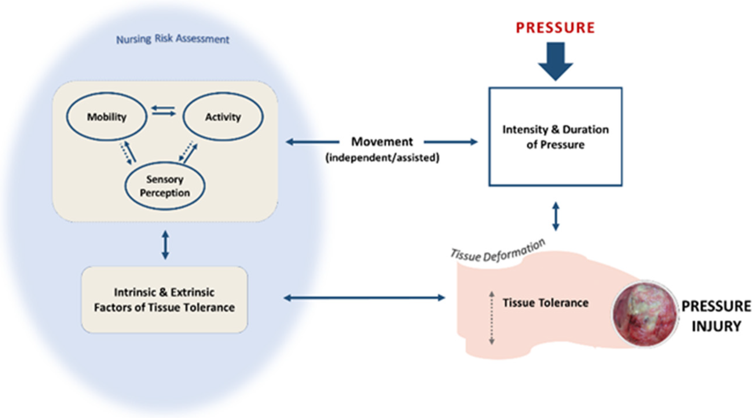 Healthcare Free Full Text Nursing Assessment Of Pressure Injury 