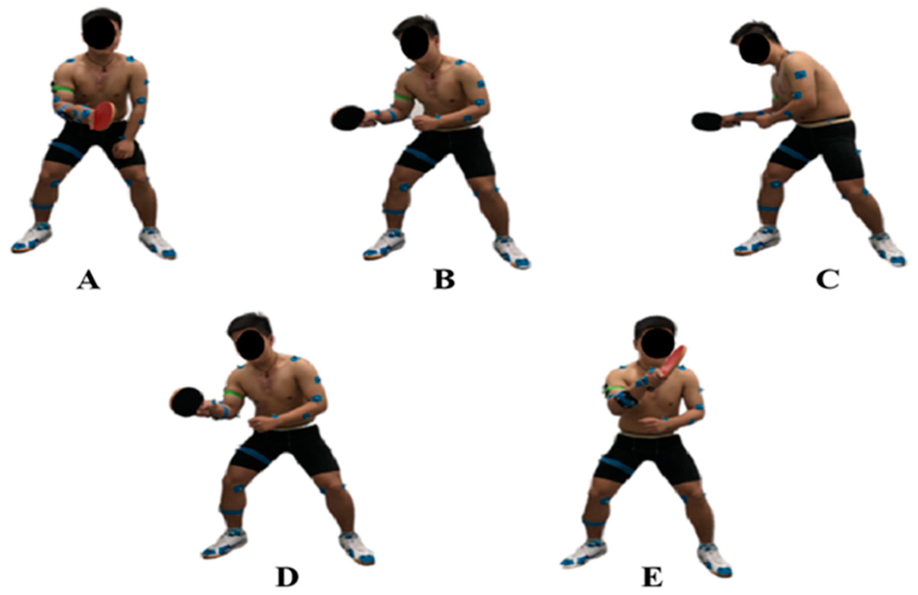 Biomechanics Of Topspin Forehand Loop In Table Tennis An Application Biomechanics Of Topspin Forehand Loop In Table Tennis An Application